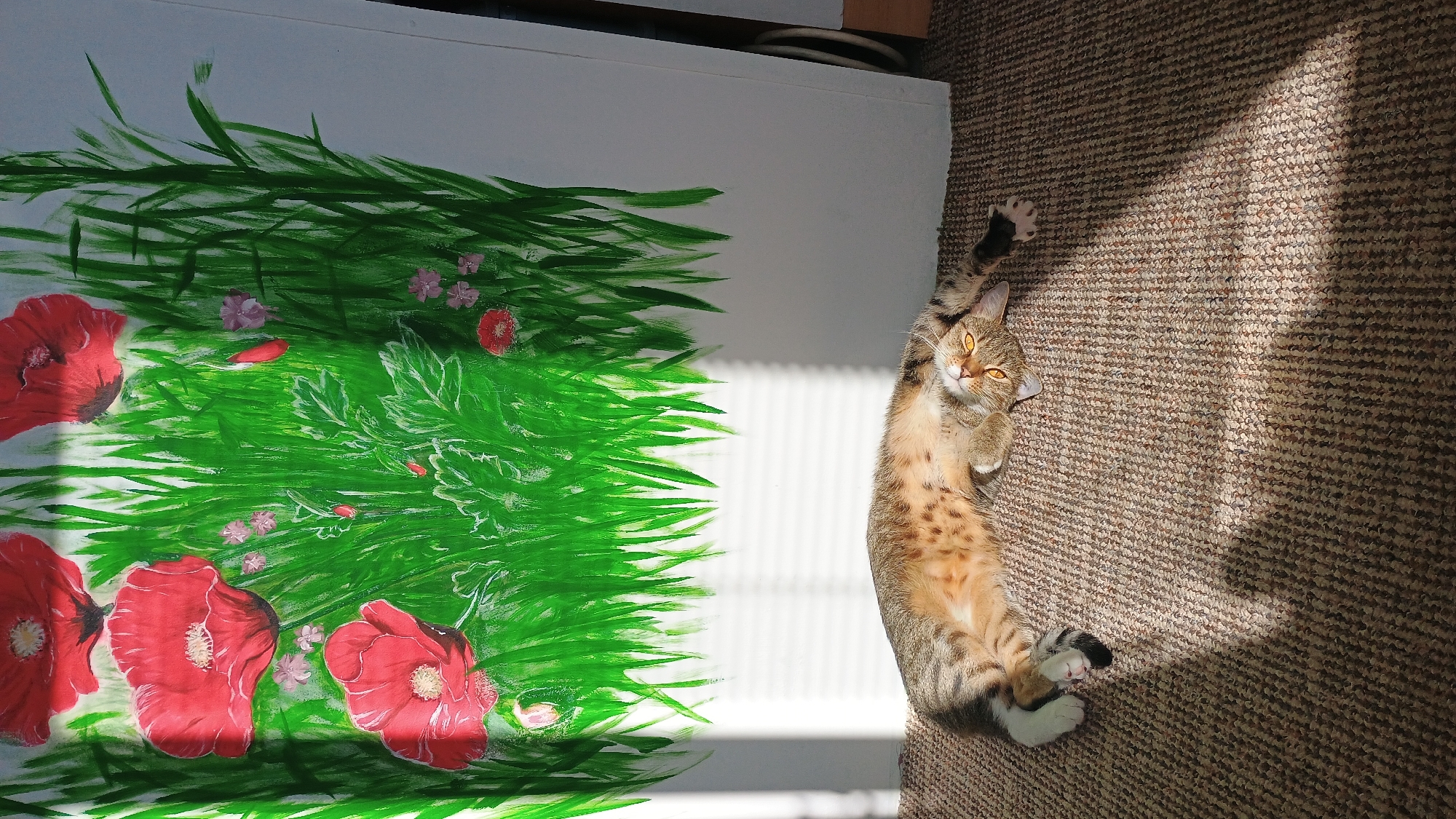 A tabby cat is lying on its back on a carpeted floor in front of a painting of red poppies and green grass. The cat is facing the camera, with its eyes wide open and looking towards the viewer. Its paws are extended, and its tail is curled around its body. The painting is on a large canvas, and the cat is positioned in the lower half of the frame. Sunlight streams in from the left, casting shadows on the carpet. The background is a white wall, with part of a window visible on the left. The scene appears to be indoors, possibly in a home or studio. There is no indication that this scene is located in Sokolov, Czechia.