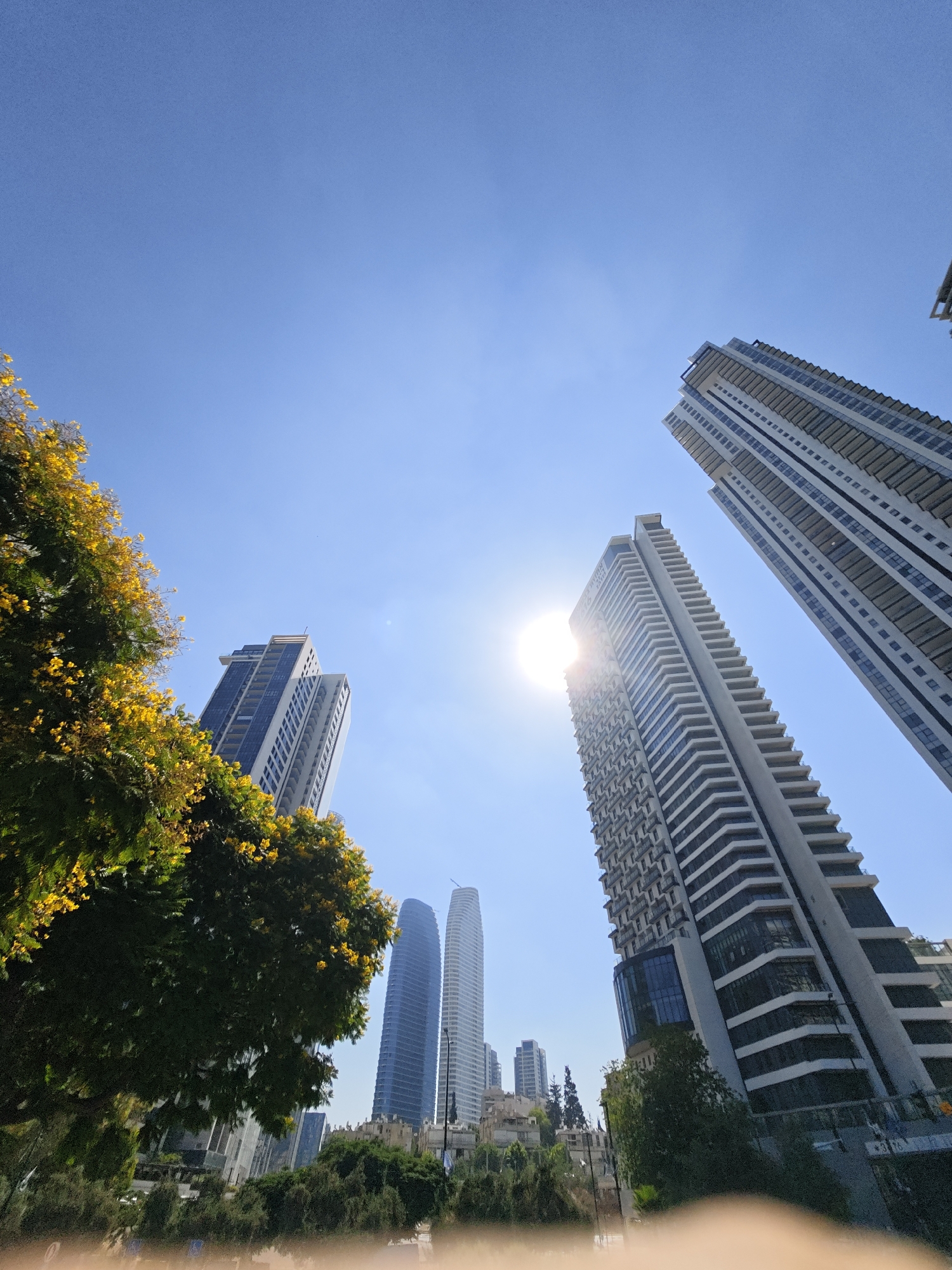 The image captures a low-angle view of modern skyscrapers and trees under a clear blue sky in Givatayim, Israel. In the foreground, on the left, a lush green tree with vibrant yellow flowers partially obscures the view of the city. Several tall, contemporary buildings dominate the skyline, with the sun peeking through the gaps between them, creating a lens flare effect. The architecture of the buildings is characterized by extensive use of glass and balconies, indicative of residential or commercial complexes. In the middle ground, two sleek, curved skyscrapers stand out, contrasting with the more angular designs of the other buildings. A cluster of older, lower-rise structures and trees is visible at the base of some of the skyscrapers. The overall scene suggests a sunny day in a developed urban environment.