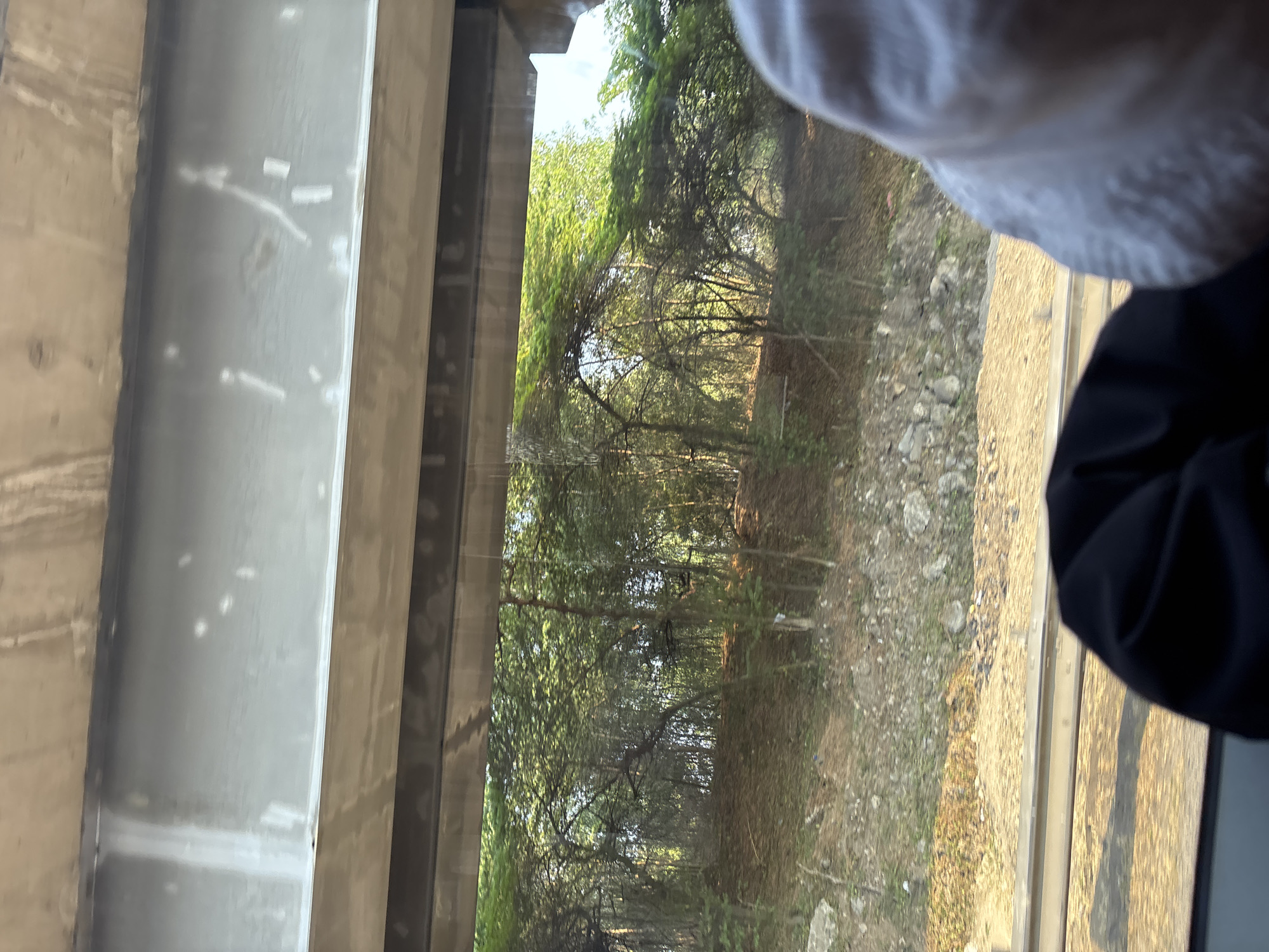 A view from inside a moving vehicle, possibly a train, shows a landscape dominated by a concrete overpass casting a shadow. Below the overpass, lush green trees with a dense canopy extend into the distance. The ground is covered with dry leaves and scattered rocks. In the foreground, parts of two individuals are visible from the shoulders up, one wearing a white garment and the other a black garment. The image appears to be taken during daylight, with sunlight filtering through the trees. The scene suggests a natural environment adjacent to an urban infrastructure. It is not possible to determine the specific location within Karawang, Indonesia from the provided image.
