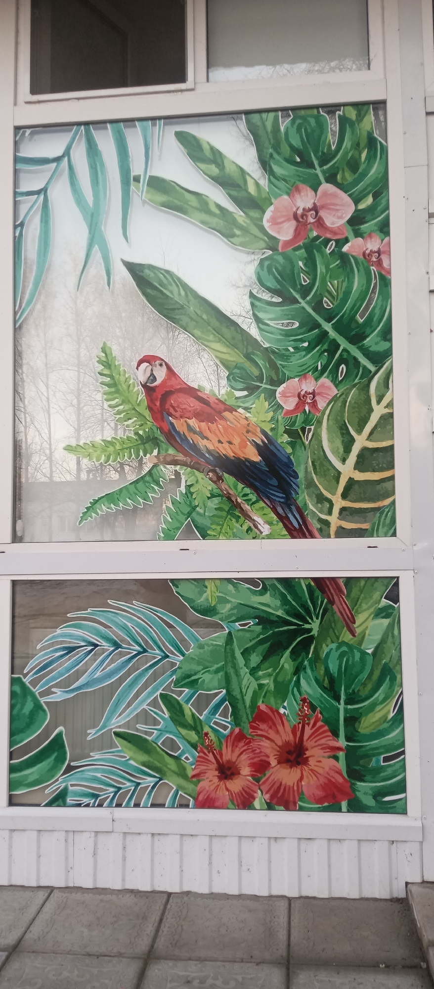 The image shows a building in Unknown, Unknown. The building has white window frames. The window glass has colorful tropical-themed paintings. The top window has a painting of a red, yellow, and blue parrot perched on a branch surrounded by green leaves and pink orchids. The lower window has a painting of green leaves and two red hibiscus flowers. The building has white siding. The foreground shows gray paving stones.