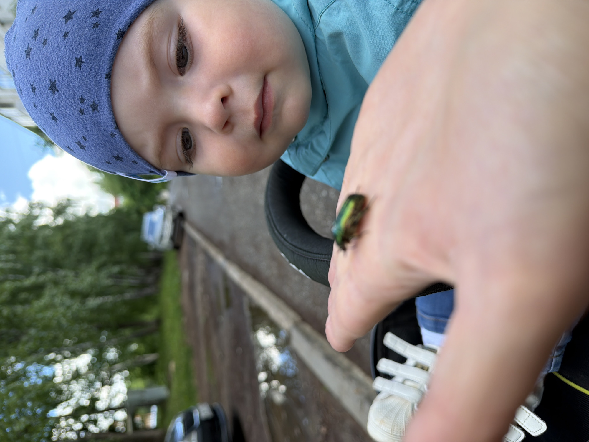 An overhead close-up shows a young child in a blue star-patterned hat and light blue jacket, looking intently at a shiny green beetle perched on an adult's hand. The child's dark eyes and delicate features convey curiosity and wonder as they observe the insect. The adult's fair-skinned hand is positioned to present the beetle, which appears iridescent green with some brown markings, possibly a type of scarab beetle.
The scene is outdoors during the daytime, with soft natural light. The background is softly blurred, indicating a shallow depth of field. Visible elements in the blurry background include lush green foliage and trees, patches of bright sky, and a paved surface with a raised curb or path. A small portion of a white shoe or sandal with Velcro straps is visible near the adult's hand. The child appears to be seated in a stroller or similar carrier, with part of a dark handle or frame visible beneath them. The image captures a gentle moment of discovery and interaction between the child, the adult, and nature, possibly in Votkinsk, Russia. There is no visible text.