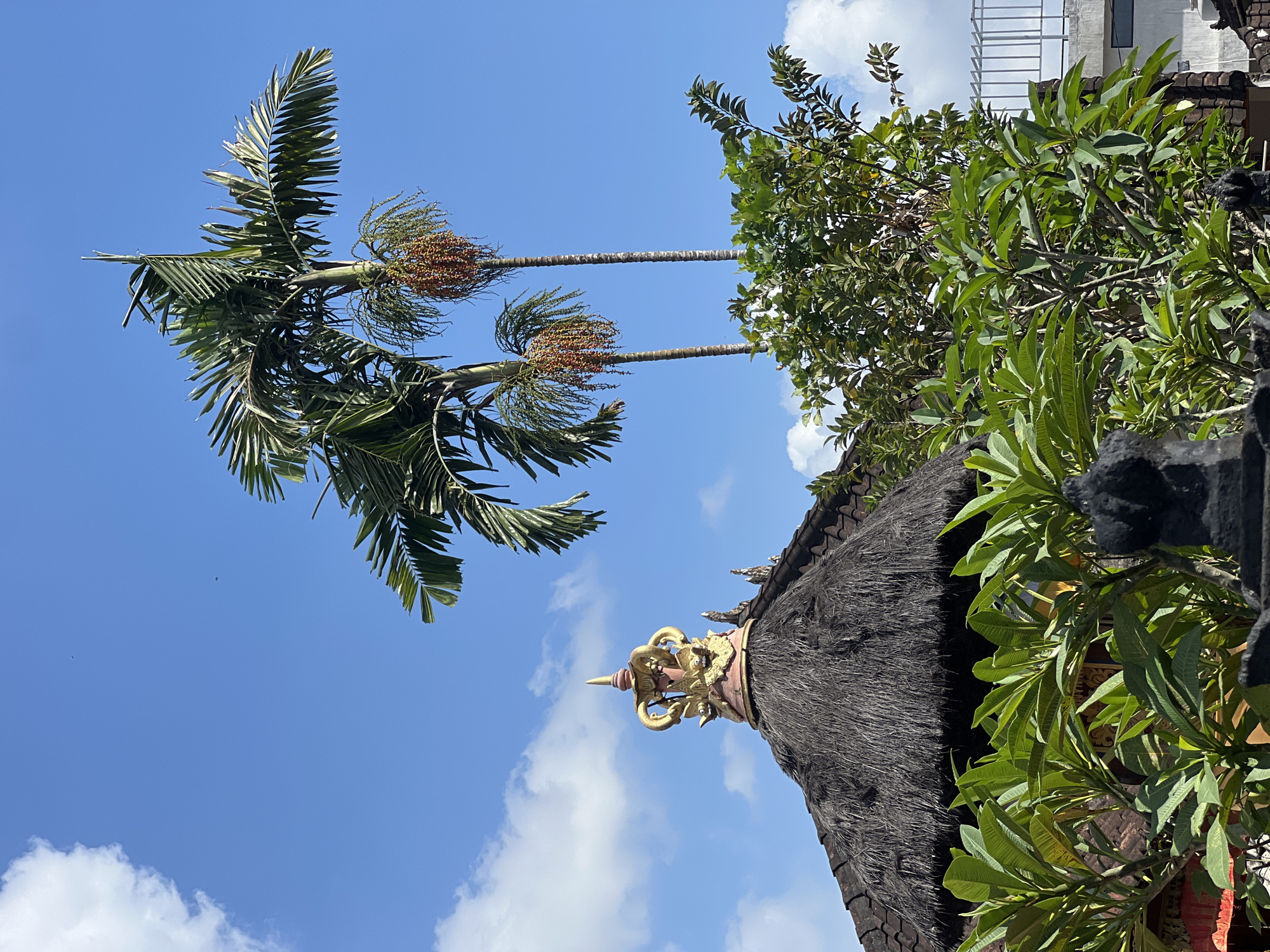 The image shows a sunny outdoor scene in North Kuta, Indonesia. The foreground features lush green foliage, with a close-up of a black stone carving on the right. Behind the foliage, the thatched roof of a building is visible, topped with a golden, ornate finial depicting mythical creatures. Two tall palm trees with mature fruit clusters rise above the building and foliage against a clear blue sky with scattered white clouds. To the right of the palm trees, a white-railed structure and a modern building are partially visible. The scene evokes a tropical atmosphere characteristic of the region.