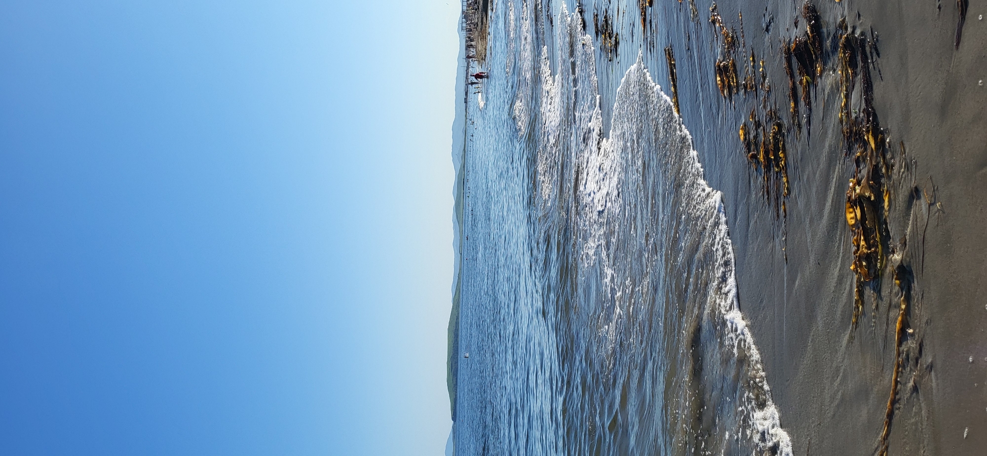 The image depicts a beach scene on a clear, sunny day. The foreground is dominated by dark, wet sand with scattered strands of brown seaweed. Gentle waves are lapping at the shore, creating white foam. In the middle ground, the blue water stretches out towards a distant, low-lying green island with a hill. Further in the distance, a hazy mountain range borders the horizon. Along the shoreline, several figures, appearing to be people, are visible. Some are walking along the beach, while others appear to be in the shallow water. There are also some structures that might be beach chairs or umbrellas on the far right. The sky is a clear, uninterrupted blue. This scene is consistent with a location like Slavyanka, Russia, which is known for its coastal beaches and natural landscapes.