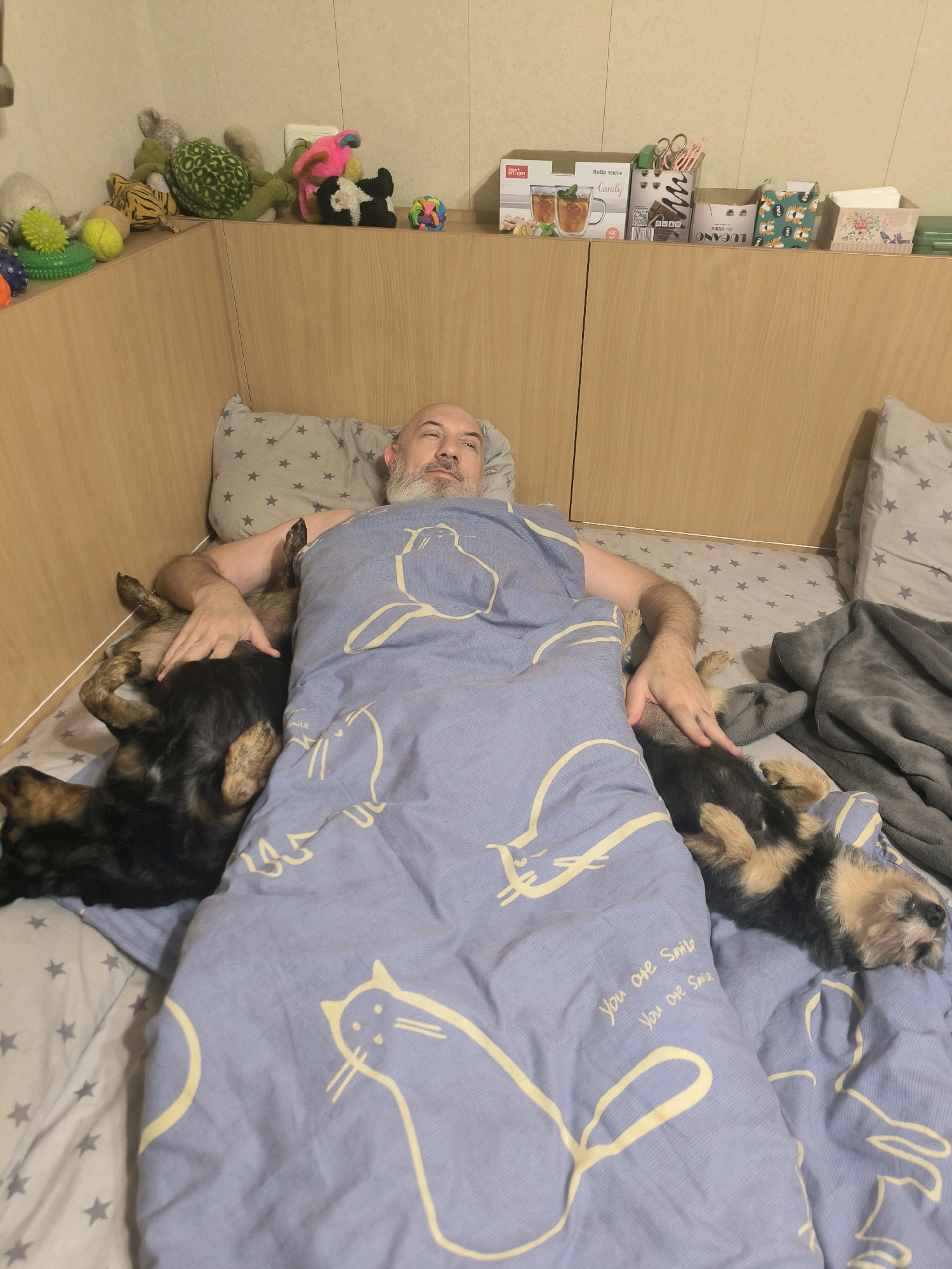 The image shows a man lying on a bed with two small dogs. He is covered by a blue duvet with a yellow cat pattern and the words "You are smile, You are smile". One dog is lying on his chest, and the other is on his side, both appear to be asleep. The man is looking upwards with his eyes closed. The room appears to be a bedroom with wooden walls and shelves filled with toys and boxes on the top of the walls. The overall scene suggests a cozy and relaxed atmosphere. The image was taken in Mykolaiv, Ukraine.
