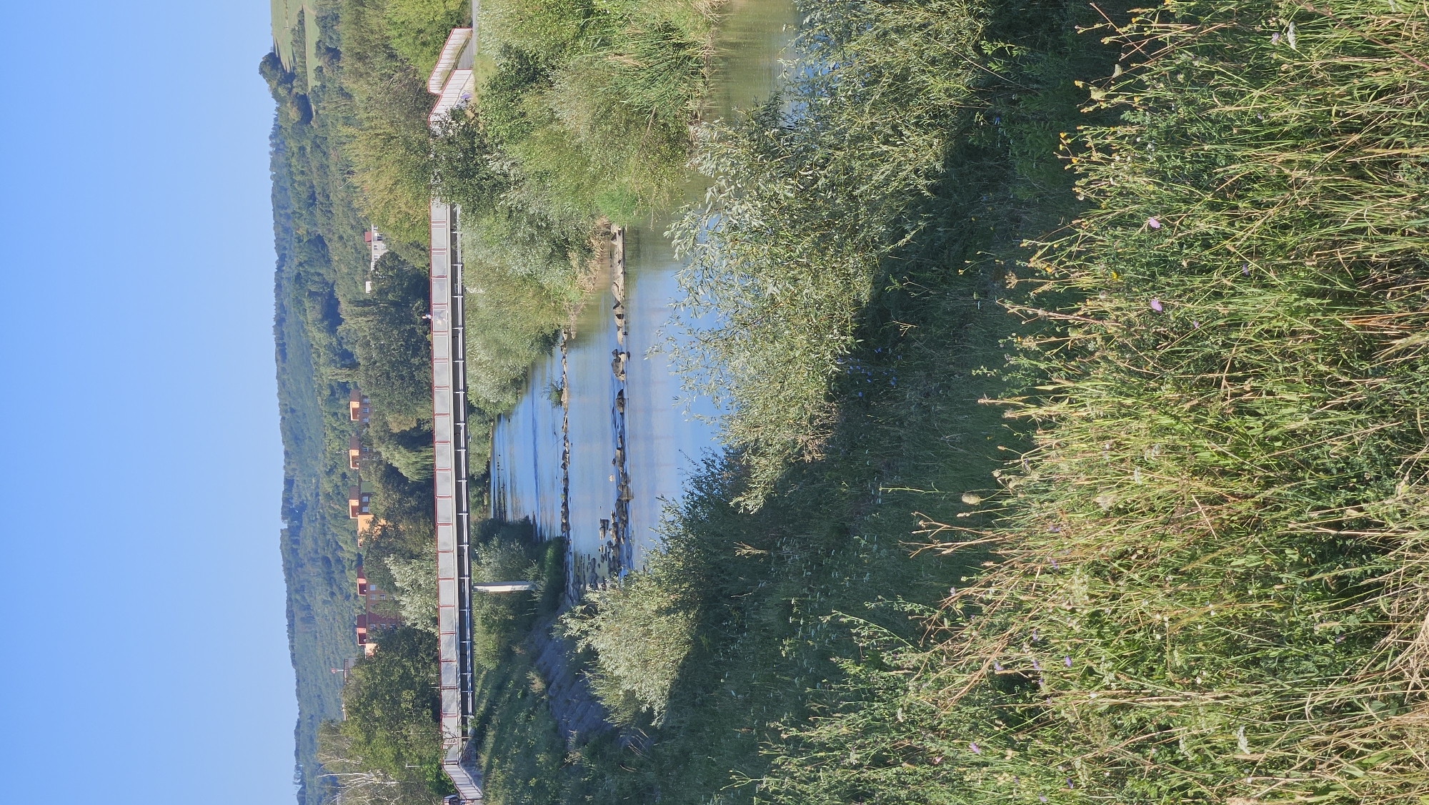 The image depicts a scenic view of the Sekčov River flowing through the city of Prešov, Slovakia. A pedestrian bridge with a red railing spans across the river, connecting the green banks. The water is calm, reflecting the clear blue sky above. Scattered rocks create a shallow, rippling effect in the river. Lush green vegetation, including trees and bushes, lines the riverbanks. In the background, residential buildings with orange and red roofs are visible, nestled among the trees on a gently sloping hill. The overall impression is one of a peaceful, natural environment integrated with urban life.