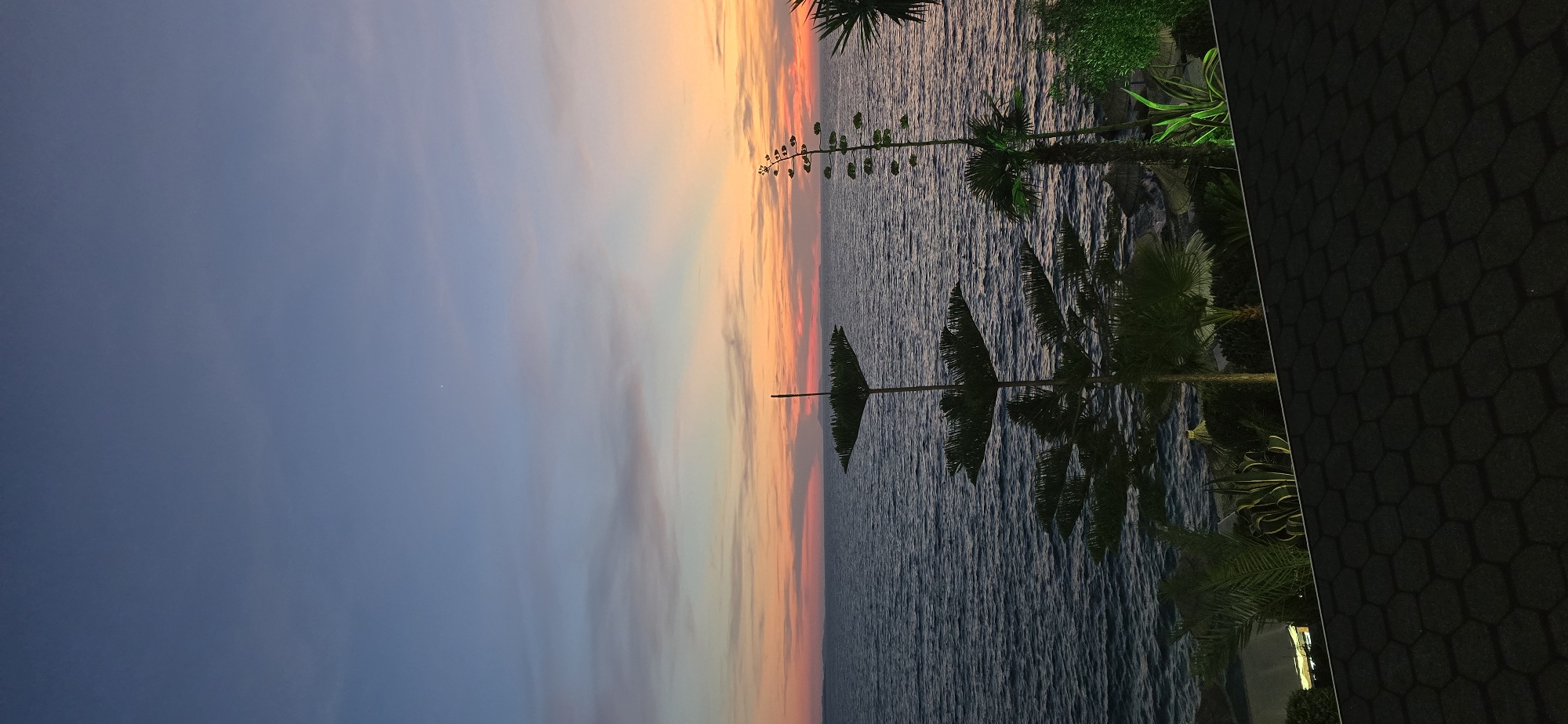 The image depicts a scenic sunset over the Ionian Sea, viewed from a rooftop in Saranda, Albania. The sky transitions from a deep blue at the top to warm hues of orange and pink near the horizon, with subtle cloud formations present. The sea is calm, with gentle ripples reflecting the sky's colors.
In the foreground, a dark, hexagonal-patterned rooftop occupies the bottom portion of the frame. Beyond the rooftop, lush green vegetation is visible, including palm trees and other tropical plants, some of which are illuminated by artificial lighting. Two distinctive trees stand out: a tall Norfolk pine with a unique, tiered canopy structure, and a much taller, slender plant with a bloom stalk. In the middle ground, beach umbrellas and what appear to be beach loungers are faintly visible along the shoreline. In the far distance, a silhouetted landmass, likely an island or the mainland coast, is visible on the horizon.
The overall scene conveys a sense of tranquility and natural beauty, characteristic of a coastal resort at dusk. No people are present in the image.