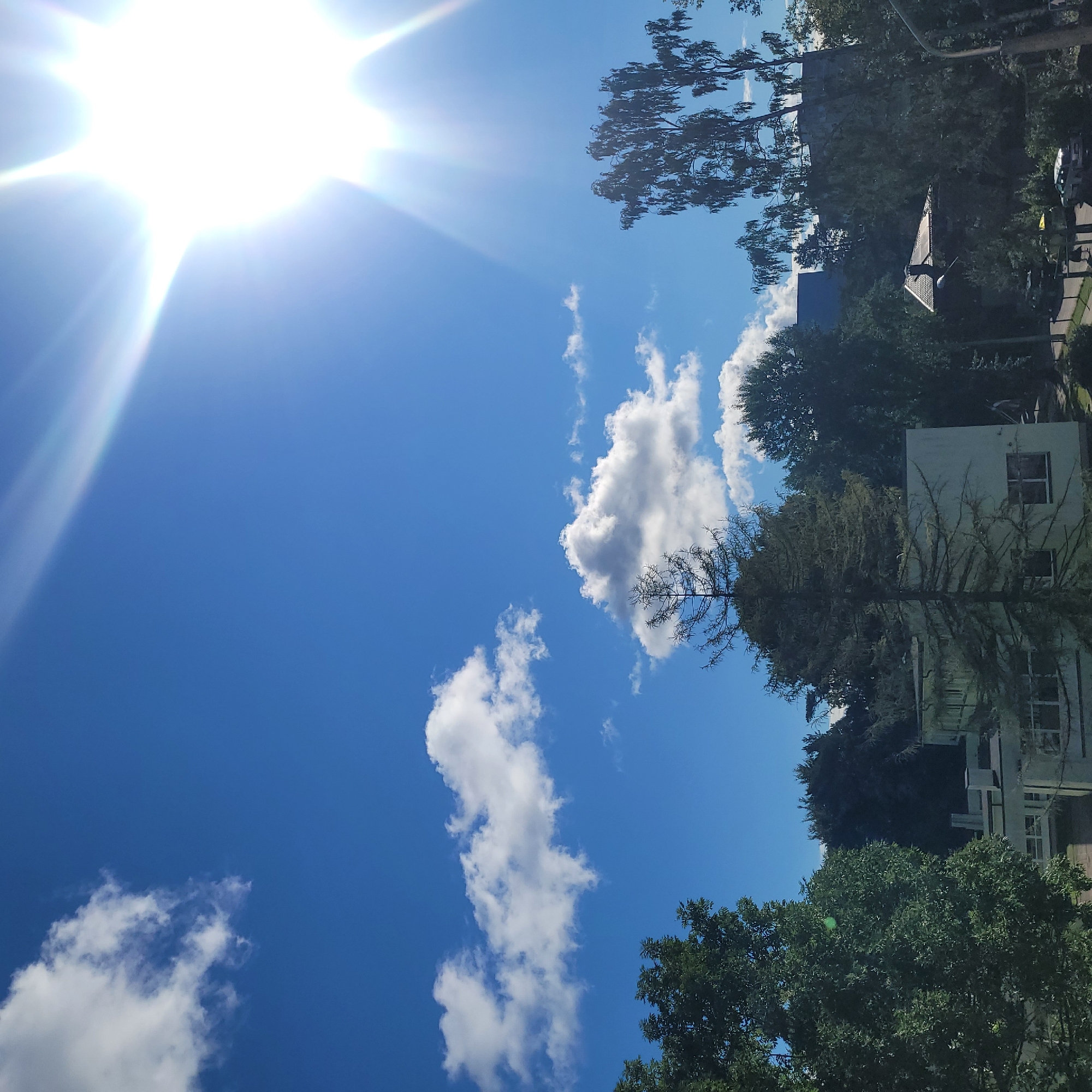 The image depicts a bright, sunny day with a clear blue sky and scattered white clouds. The sun is intensely bright in the upper right quadrant, creating lens flare and radiating beams of light. Below the sky, a dense line of trees is visible, varying in size and type, with some appearing to be deciduous and others evergreen. In the foreground, on the left side of the image, a large, dark green tree dominates the frame. Towards the center and right, parts of buildings are visible behind the trees, including a white, low-rise building with windows and what appears to be a darker, taller structure in the background. A pitched roof with a chimney is also visible amongst the trees on the right side of the image, suggesting residential or commercial properties. The presence of a paved pathway and parked cars at the bottom right indicates a street or parking area. This scene likely represents a residential or semi-urban area in Jūrmala, Latvia, characterized by a blend of natural elements like trees and open sky with man-made structures. No people or specific actions are clearly discernible in the image.
