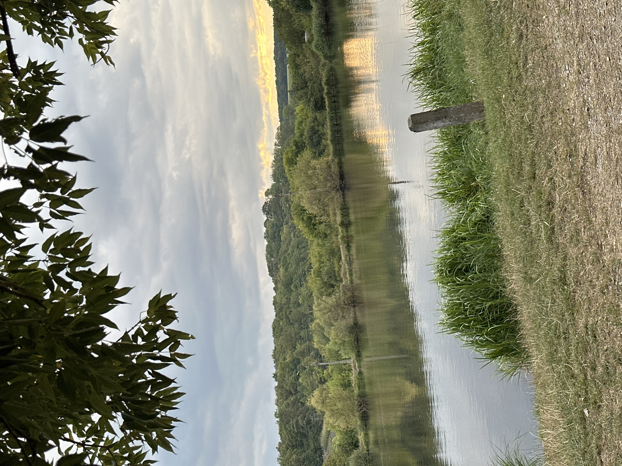 This is a landscape photograph taken in the city of Makiv, Ukraine, depicting a serene natural scene. In the foreground, there is a body of water, likely a river or lake, with calm ripples reflecting the overcast sky and the warm glow of sunset on the horizon. The water is bordered by a grassy embankment dotted with tall green reeds on the left and a mix of dry and green grass on the right. A weathered, concrete post is partially submerged in the grass on the right side of the frame.
Beyond the water, a lush, green forest covers rolling hills, with a line of trees forming the backdrop. The sky above is cloudy, with hints of yellow and orange light breaking through on the right, suggesting the sun is setting. Overhanging branches with dark green leaves frame the top of the image, adding a natural border and depth to the scene. The overall impression is one of tranquility and the beauty of the Ukrainian countryside.