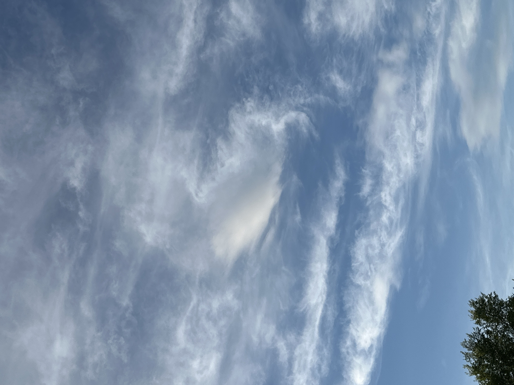 This is a vertical, close-up shot of a bright blue sky filled with wispy, white clouds. The clouds are thin and streaky, resembling brushstrokes across the sky, with some areas appearing more dense and fluffy than others. The lighting suggests it is daytime, likely late morning or early afternoon, due to the brightness of the sky and the clarity of the clouds. The overall atmosphere is serene and expansive, evoking a sense of openness and tranquility. In the lower right corner, a portion of a lush green tree is visible, with its dark foliage contrasting against the light blue of the sky. There is no visible text in the image. The scene depicts a natural outdoor setting, likely a clear day with scattered cloud cover.