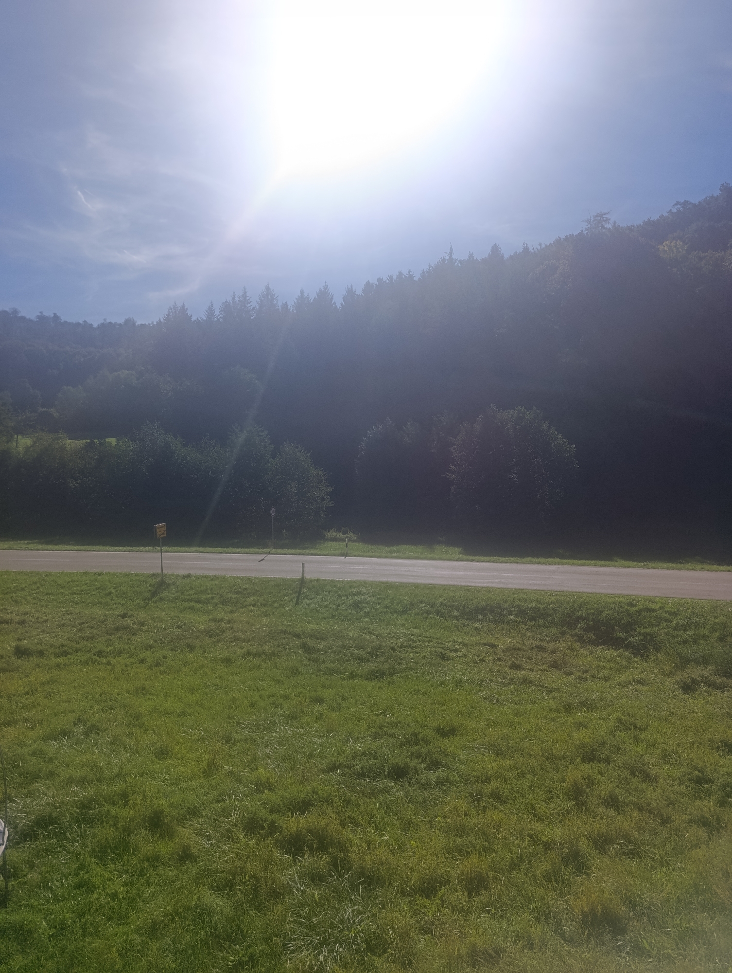 This is a wide shot taken from a grassy area looking towards a road and a densely wooded hillside. The sun is very bright and high in the sky, causing lens flare and washing out much of the upper portion of the image. The sky is blue with some wispy white clouds.
The road is a two-lane asphalt road running horizontally across the middle of the frame. There are faint white lane markings visible. To the left of the road, there is a small yellow sign on a post. To the right of the road, there are a few thin vertical posts, possibly delineators or part of a fence.
Beyond the road is a dense, dark green hillside covered in trees. The trees obscure most of the ground and any features on the hillside. The foliage appears to be a mix of coniferous and deciduous trees.
The foreground consists of a grassy field. The grass is green with some areas of lighter green and brown, suggesting it may have been recently mown or is a mix of different types of grass. The texture of the grass is somewhat rough and uneven.
The image was captured in Berching, Germany, given the presence of a sign that appears to be a speed limit sign with "50" in a red circle, a common European road sign. The overall scene depicts a rural or semi-rural roadside environment under bright sunlight.
