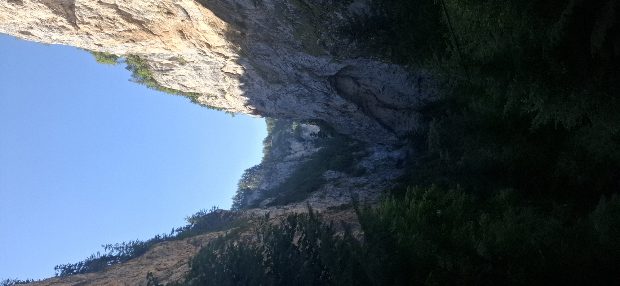 The image shows a deep gorge with steep, rocky cliffs on either side. Dense green trees line the top and sides of the gorge, with some trees growing directly out of the rock face. The sky above is a clear, bright blue. The lighting suggests it is daytime, possibly late morning or early afternoon, with sunlight casting shadows into the gorge. The scene appears to be a natural landscape, characteristic of the area around Trigrad, Bulgaria, known for its dramatic gorges and caves. There are no people or man-made structures visible in the image.