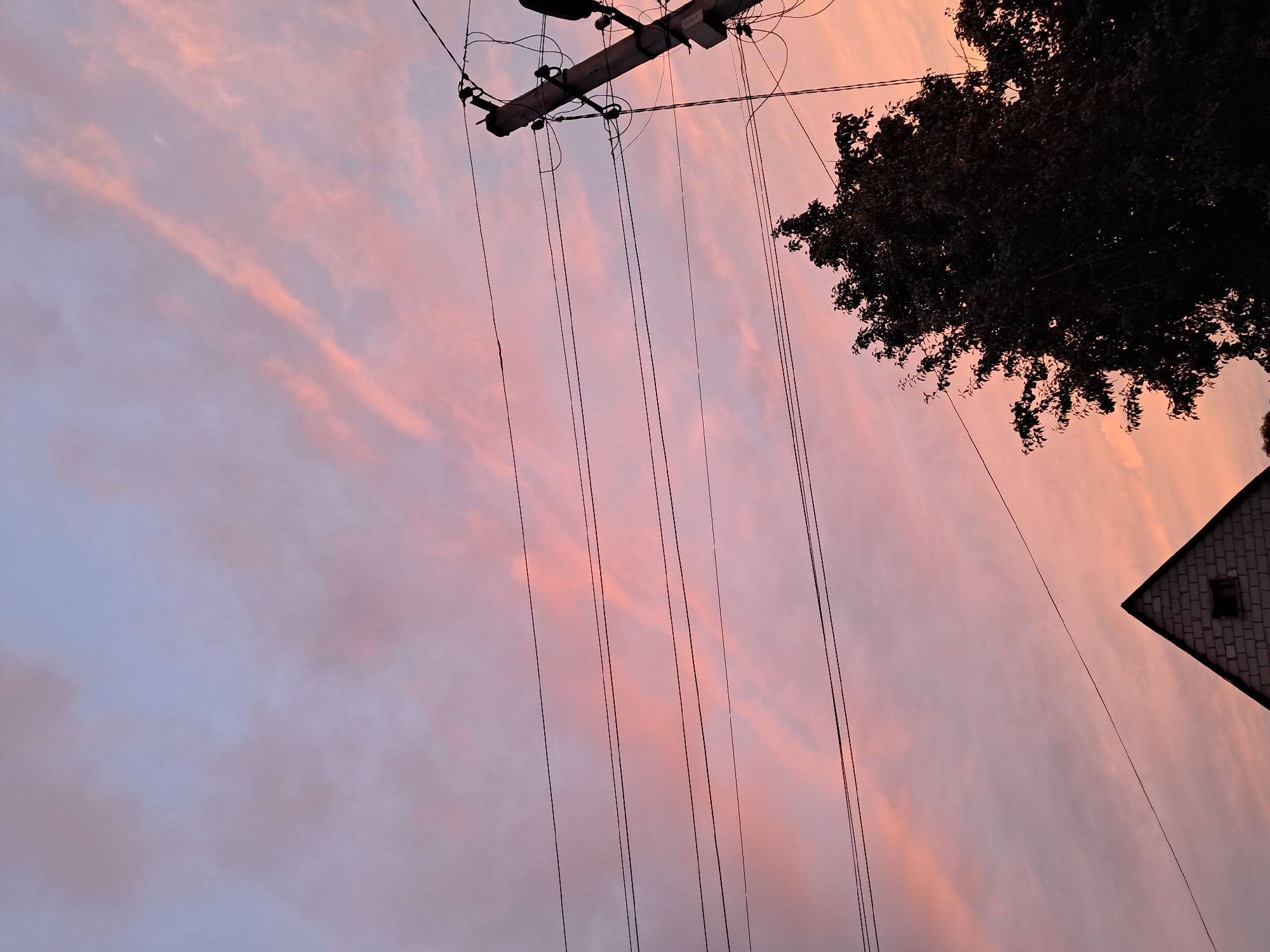 The image captures a dusky sky in Kremenchuk, Ukraine, with hues of pink and light purple from the setting sun. Several power lines stretch across the frame, supported by a wooden utility pole on the right side. In the foreground, the dark silhouette of a large tree partially obscures the view, and the peak of a brick building with a small window is visible at the bottom left. The sky is filled with wispy clouds, some tinged with pink, suggesting the end of a day. The overall impression is one of urban twilight.