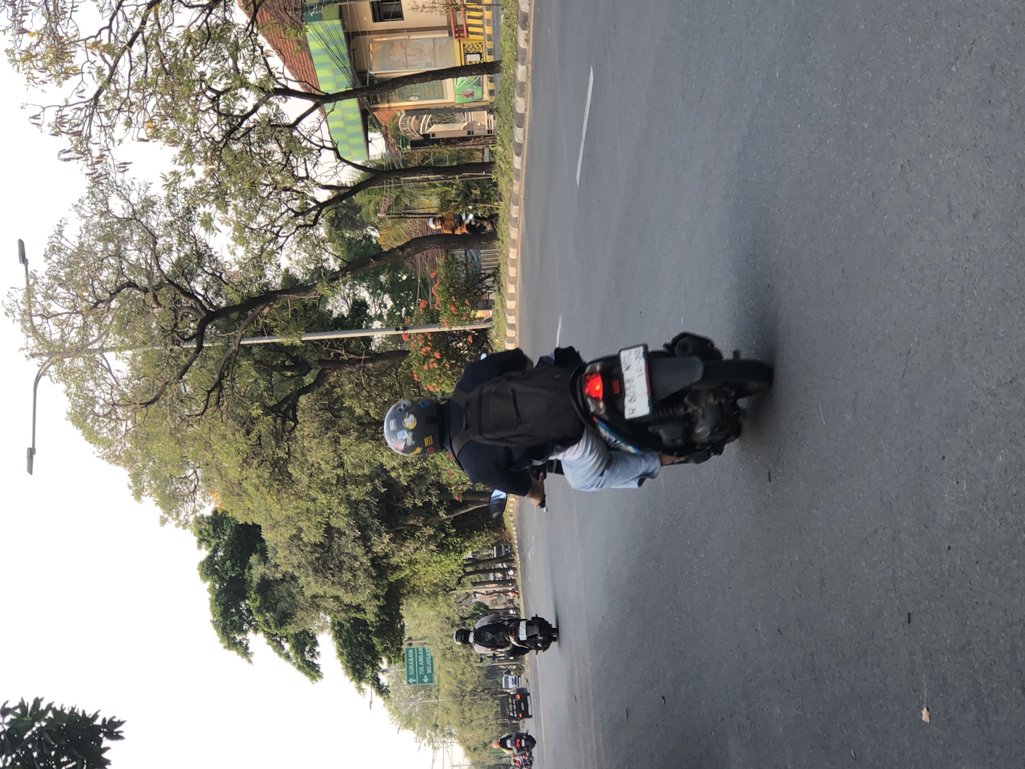 The image shows a street scene in Kludan, Indonesia, with several motorbikes on a paved road. The main subject is a person riding a motorbike in the foreground, seen from behind. This person is wearing a dark blue shirt, light blue pants, and a helmet with multiple stickers. They have a dark backpack on. The motorbike has a license plate that appears to read "W 6058 WUL". In the background, there are other motorbikes, a car, and trees lining the street. A street sign in the distance indicates directions to "SURABAYA", "TULANGAN", and "MOJOSARI". The environment is characterized by a road with white lane markings and a sidewalk with a curb. Buildings with green and white patterned facades are visible on the right side of the road. The sky is bright, suggesting it is daytime.