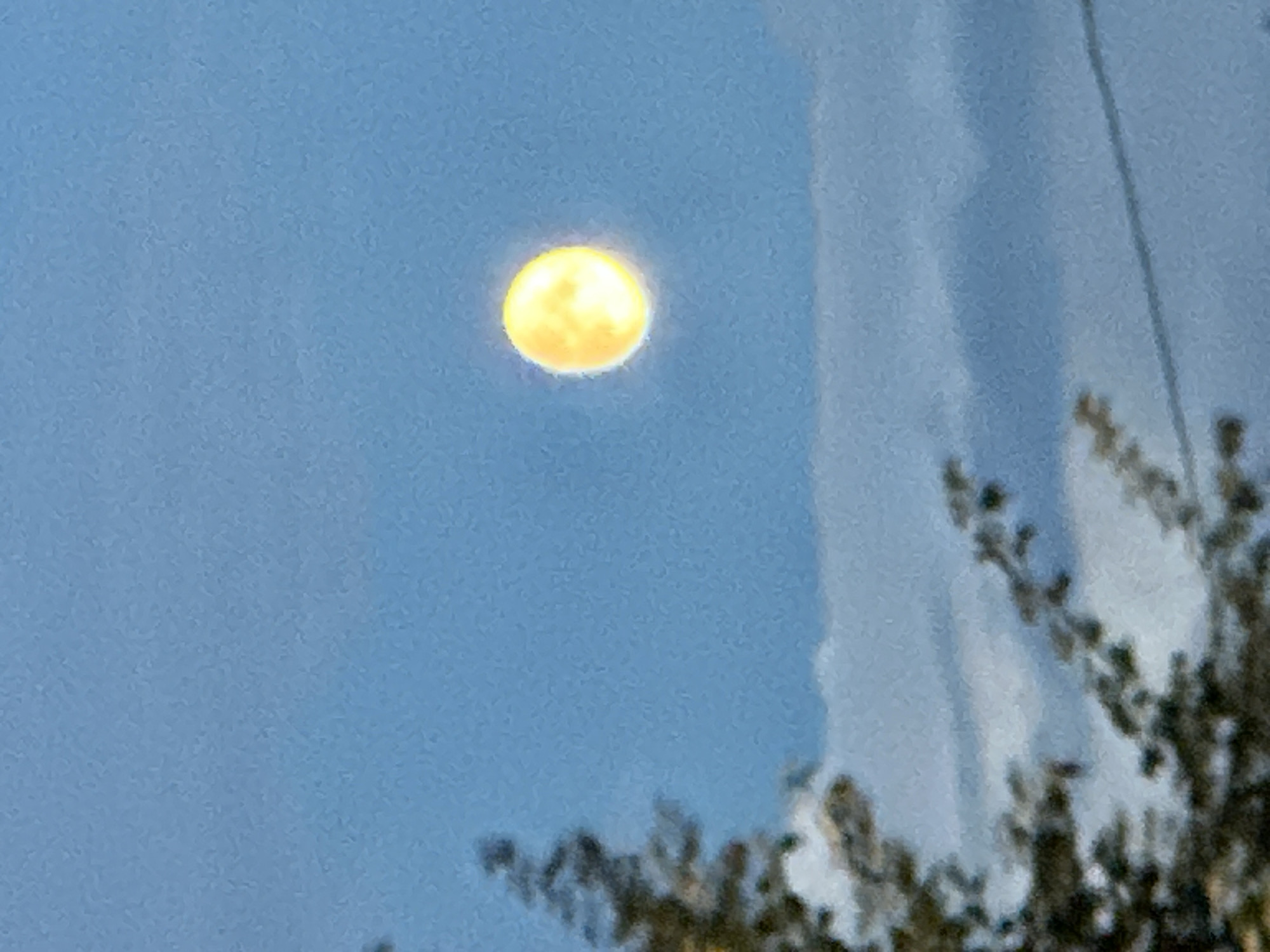 The image shows a full moon with a distinct yellow hue, partially obscured by clouds. In the foreground, the blurred branches of a tree are visible on the left side of the frame. The sky is a pale blue, suggesting it is either dawn or dusk. The scene appears to be set outdoors, in a location that could be part of Podolsk, Russia, given the context provided. There are no people or specific buildings identifiable in the image.