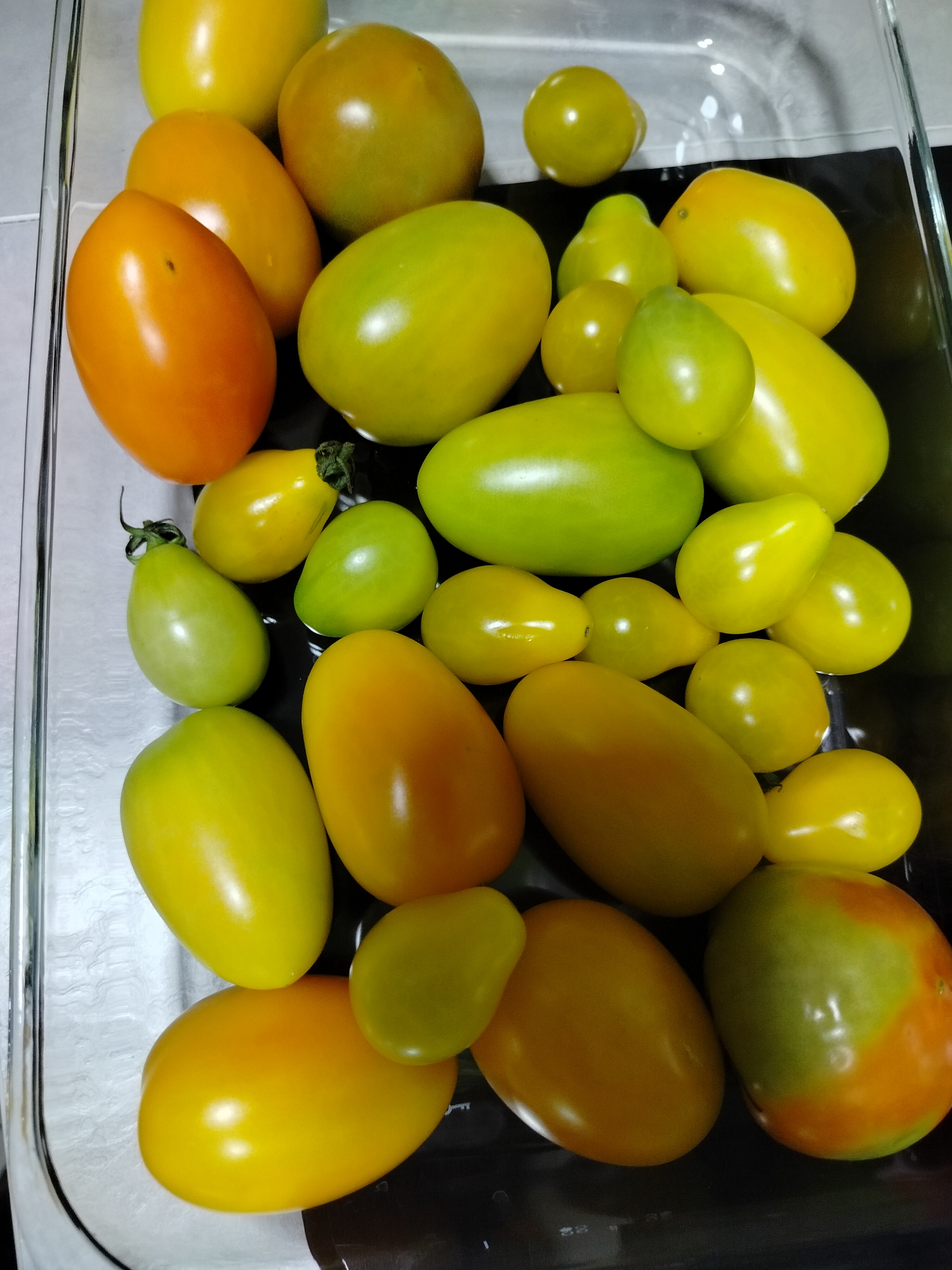A shallow, clear glass dish filled with a variety of tomatoes sits on a reflective, dark surface. The tomatoes are of different shapes and colors, including orange, yellow, and green. Some are oval, while others are more rounded. A few of the tomatoes show signs of ripening, with patches of green and orange. The dish is slightly tilted, and the tomatoes are arranged in a seemingly random but full pattern, occupying most of the dish's surface. The lighting is bright, creating highlights on the smooth skin of the tomatoes. The background is blurred and consists of lighter colored, possibly textured surfaces. This image does not contain any identifiable landmarks or elements that would indicate a specific location in Novosibirsk, Russia.