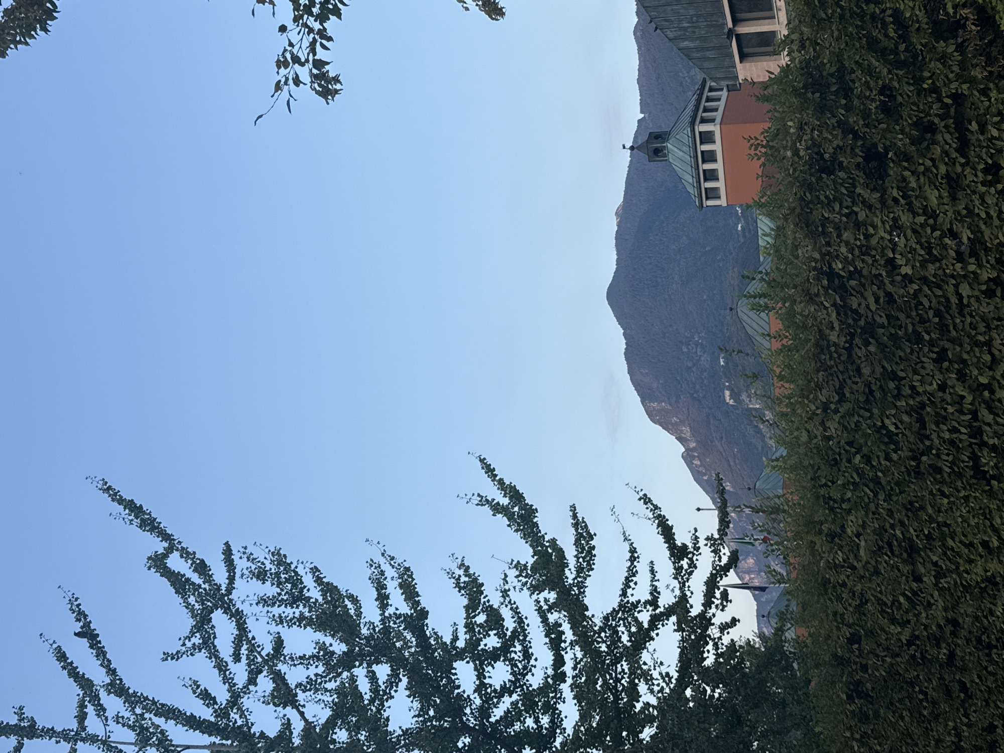 The image captures a serene view of the city of Trento, Italy, with a mountain range serving as a backdrop. In the foreground, a meticulously trimmed green hedge dominates the lower portion of the frame, its dense foliage obscuring much of the lower architecture. Above the hedge, a striking building emerges, characterized by a prominent orange tower topped with a green, multi-faceted roof and a small flag. Adjacent to this tower, a section of another building with a green roof and windows is visible. Three flags, one appearing to be the Italian flag, are positioned between the hedge and the distant mountains. To the left, the branches of a large tree with abundant green leaves extend into the frame, with a small bird perched on one of its branches. The sky above is a clear, pale blue, indicating daylight, possibly early morning or late afternoon. The overall atmosphere is tranquil and picturesque, highlighting the harmonious blend of nature and urban architecture in Trento.