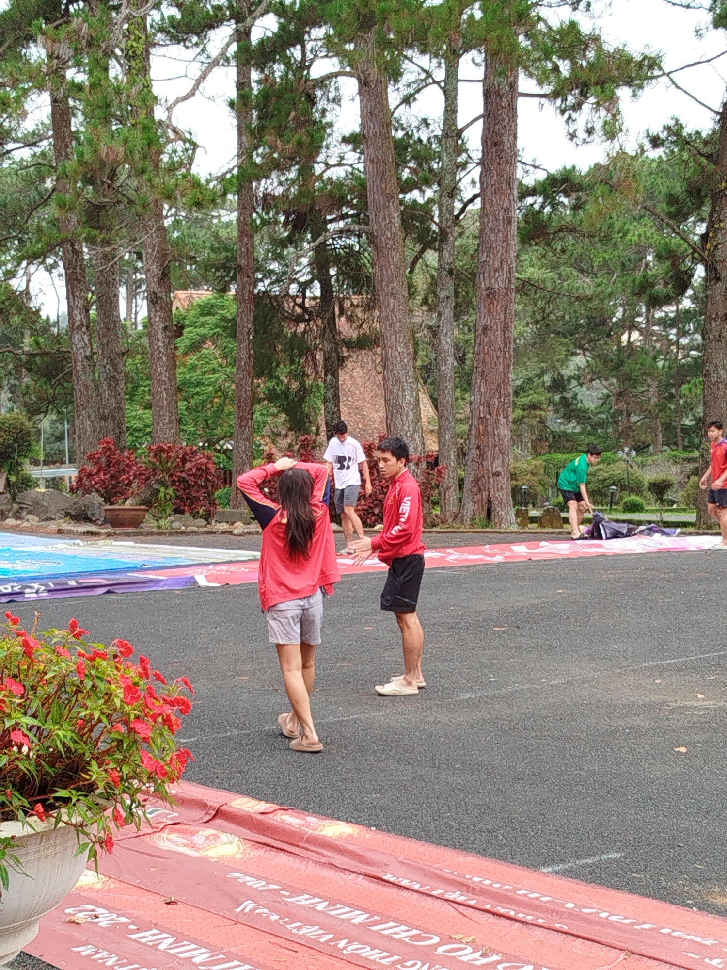 This image depicts an outdoor scene in Da Lat, Vietnam, likely within a park or recreational area characterized by tall pine trees. In the foreground, a young woman wearing a red jacket and grey shorts stands with her back to the camera, her hand on her head. To her right, a young man in a red shirt and black shorts faces her, appearing to be in conversation or engaged in an activity.
Further in the background, several other individuals are visible. A person in a green shirt and black shorts is interacting with a dark bundle on the ground, possibly a mat or tarp. Another young man in a red shirt and black shorts stands to the right of the person in green. A person in a white shirt and grey shorts is also present.
The ground is paved with asphalt, and a large, colorful banner or tarp is spread out on the left side of the image, featuring various colors and potentially text. A red banner with text is also visible in the lower foreground. Red flowers in a white planter are positioned in the bottom left corner of the frame, adding a splash of color to the scene. The overall environment suggests a bright, overcast day.