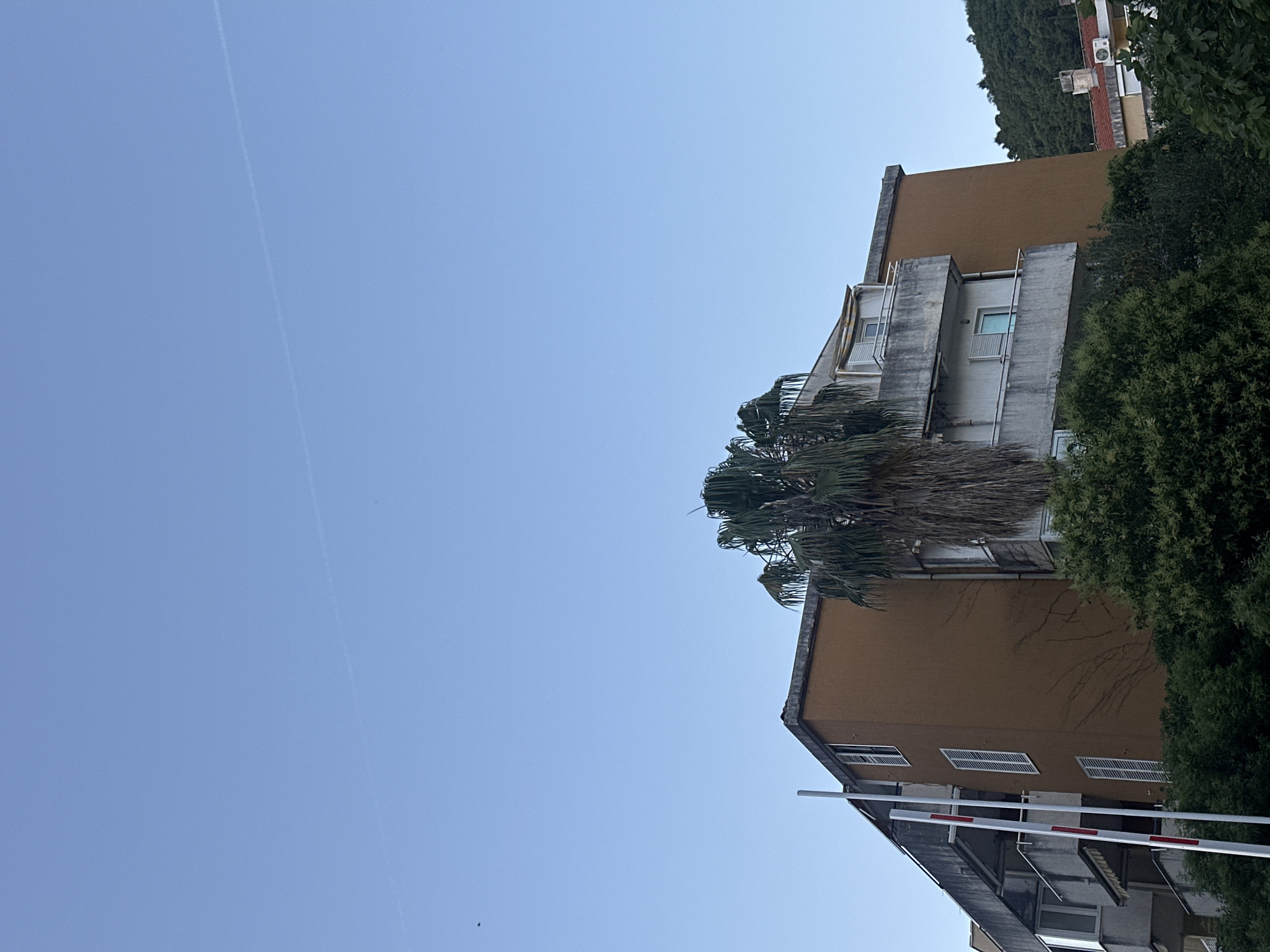 The image captures a partial view of a building in Budva, Montenegro, against a clear blue sky. The building appears to be multi-storied, featuring a mix of tan and gray facades. A palm tree is situated in front of the building, with its fronds partially obscuring some of the structure. Windows with shutters are visible on the tan section of the building. A white and red striped barrier gate is situated near the base of the building. The upper right corner of the frame includes greenery, possibly trees and shrubs, and another building with a red roof. A contrail is visible in the upper left of the sky.