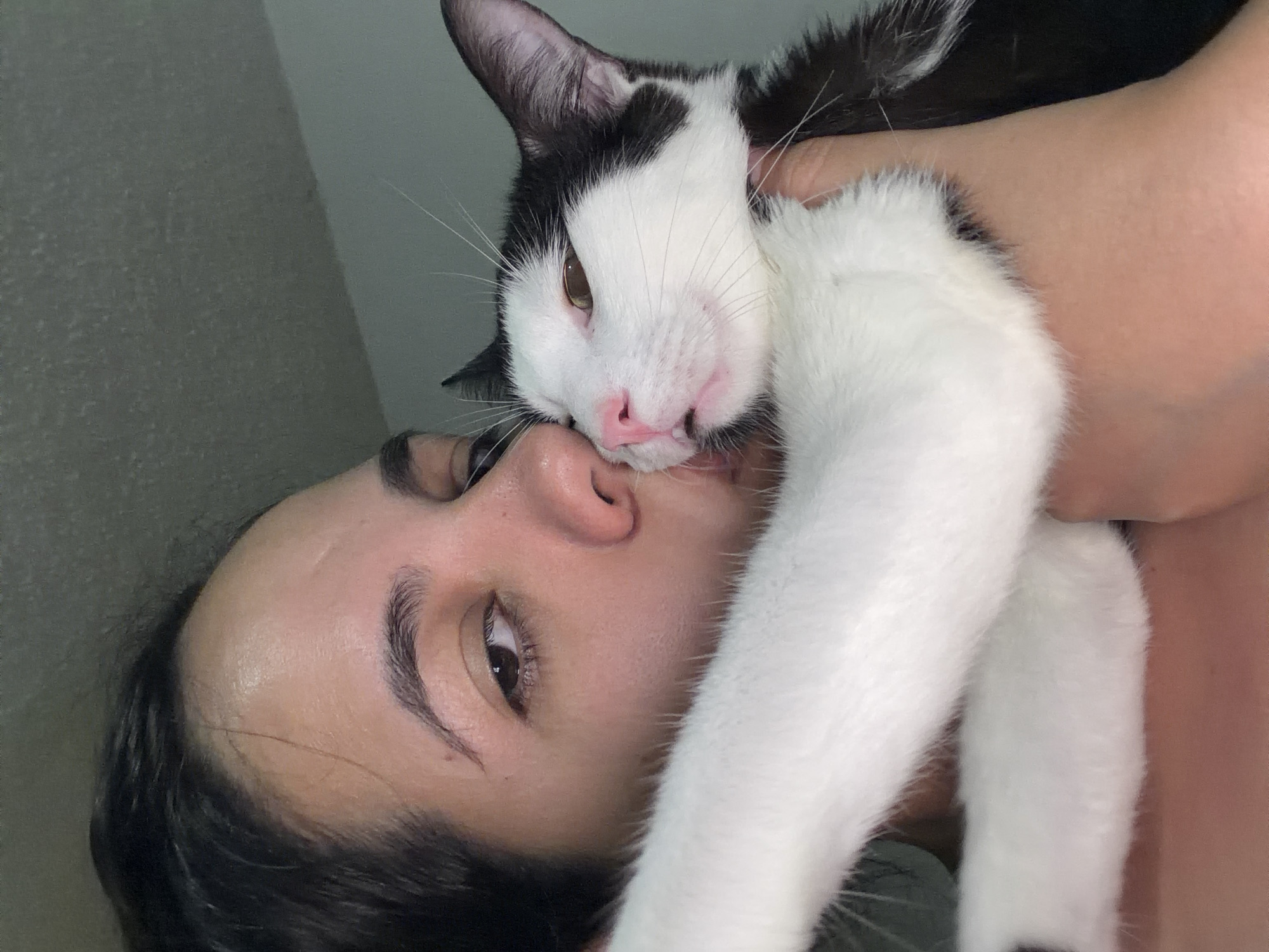 A person and a black and white cat are in close proximity. The person, viewed from below, has brown hair and is likely lying down or tilted back. The cat's face is near the person's face, and one of its paws is visible. The location appears to be indoors, possibly in a residential setting. There is a light-colored wall in the background. Location in the city of Ciudad Guayana, Venezuela cannot be confirmed.