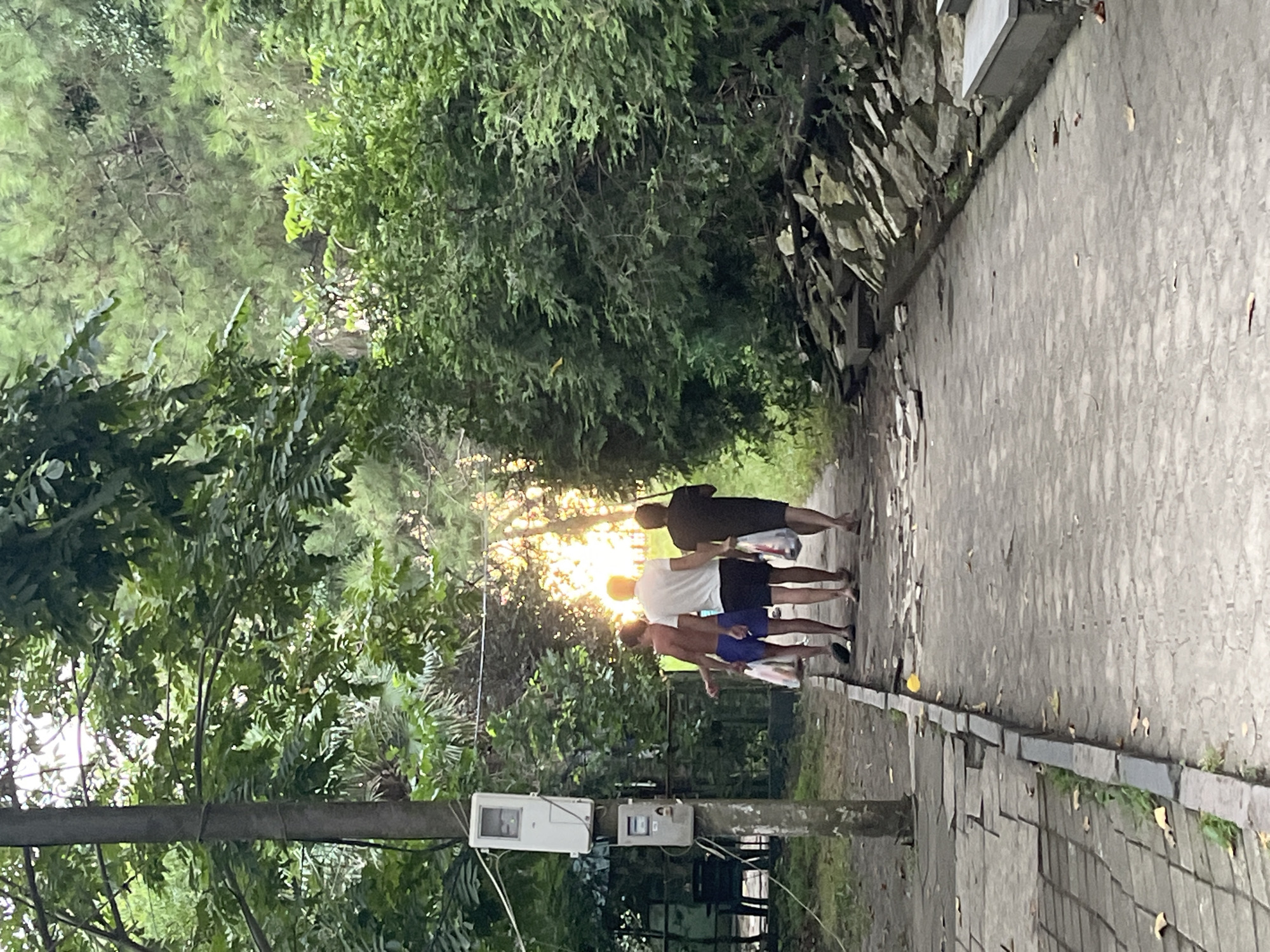 Three individuals are walking away from the camera on a paved walkway lined with foliage. The person in the center wears a white polo shirt and dark shorts. To their left, another individual wears a white t-shirt and blue shorts, carrying a white plastic bag in their left hand. To the right of the person in the white polo, a third individual wears a dark t-shirt and dark shorts, also carrying a white plastic bag. The walkway is bordered by a low stone wall on the right, behind which are piled rocks and dense green bushes. On the left side of the walkway, a utility pole with two meter boxes is visible, along with more greenery and what appears to be an outdoor chair. The sun is setting, casting a warm glow through the trees in the background, suggesting this scene is taking place in Ureki, Georgia, known for its beaches and pine forests. The atmosphere is casual, with the individuals appearing to be returning from or heading to a recreational area.