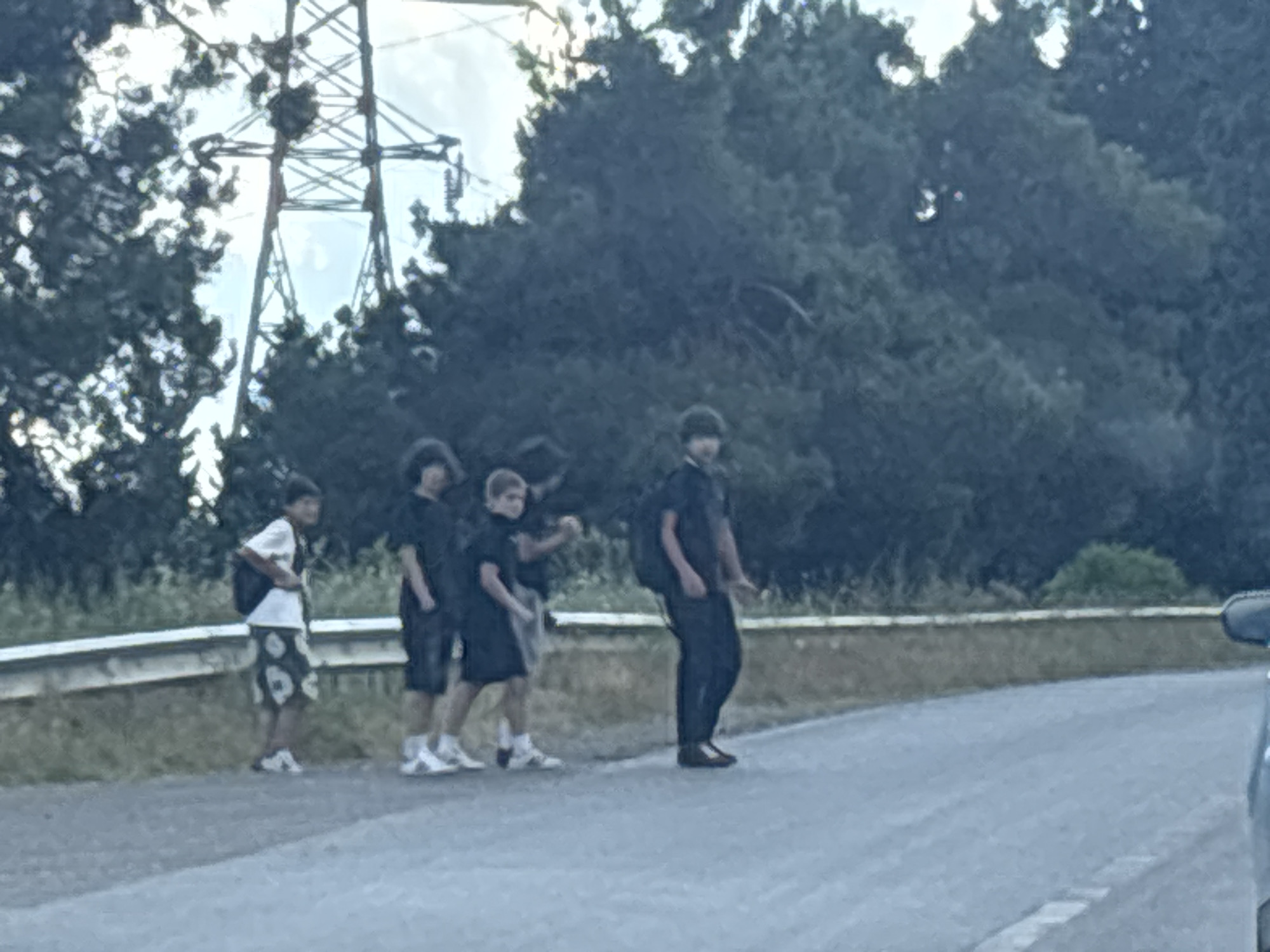 The image depicts a group of five young males standing on the side of a paved road. The individuals are all wearing dark-colored tops and shorts or pants, and most are carrying backpacks. The setting appears to be an outdoor, possibly rural or suburban area, with a backdrop of dense trees and a power transmission tower visible in the distance to the left. A guardrail runs along the side of the road where the individuals are standing. The lighting suggests it is daytime, with overcast sky. The overall scene is captured from a slight distance, with a car mirror visible in the lower right corner, indicating the photo was likely taken from inside a vehicle. The location cannot be definitively identified as Tbilisi, Georgia, based solely on the visual information provided.