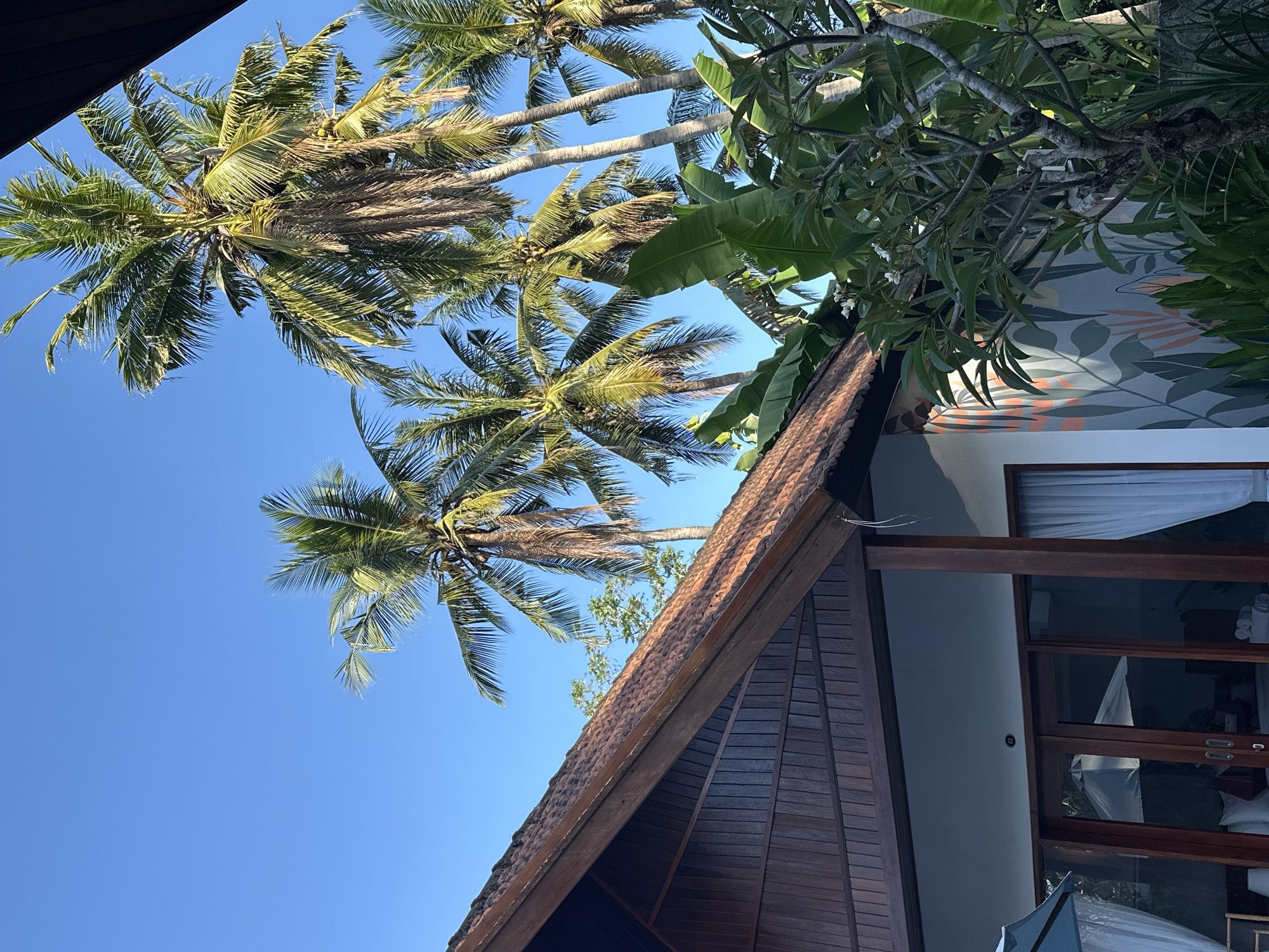 A low-angle, slightly tilted image shows a building under a clear blue sky, interspersed with palm trees and other foliage. The building is multi-story, with the lower part of the frame dominated by a steeply pitched, brown-tiled roof and dark-stained wood siding. A section of the building’s painted wall is visible, adorned with a tropical leaf motif. The upper portion of the building has an open window with white curtains. Several palm trees are visible in the sky above, with both green and brown fronds. Other leafy trees and banana plants are located to the right of the image. The image was likely taken in Nusa Penida, Indonesia.