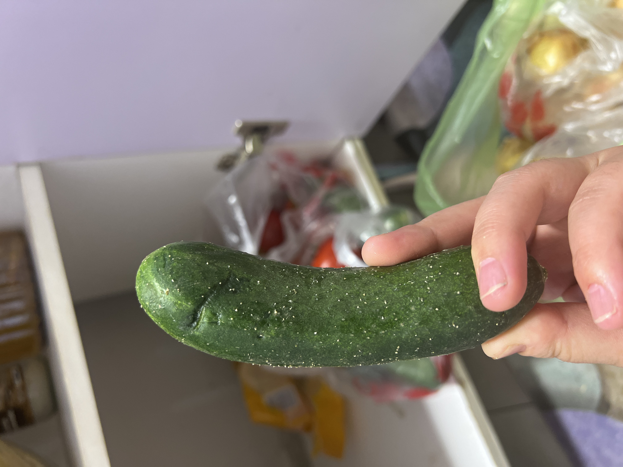 A close-up shot shows a person's hand holding a dark green cucumber. The cucumber has small, white dots scattered across its skin and a slight curve. The background is blurred but appears to be inside a cabinet or pantry, with shelves and plastic bags containing food items. The overall lighting suggests an indoor environment, possibly a kitchen. There is no indication of the city of Bishkek, Kyrgyzstan, or any specific location within a city.
