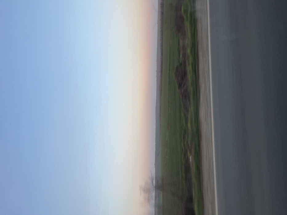 The image displays an exterior landscape scene captured from a moving vehicle in the vicinity of Pisanets, Bulgaria. The upper portion of the frame features a graduated sky, light blue overhead, transitioning to a pale pink-orange hue near the horizon line. Below the horizon, extensive green fields, consistent with agricultural land, stretch towards a distant, indistinct treeline or low hills. The foreground comprises a dark gray asphalt road surface, bordered by a continuous white shoulder line. Adjacent to the road, a blurred strip of green vegetation and dark, indistinct piles of material are visible. A heavily motion-blurred, leafless tree or shrub partially occupies the far left of the frame. No individuals or specific actions are discernible within the scene.