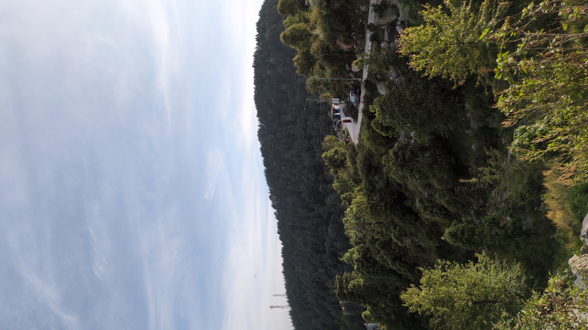 A landscape photograph captures a scene in a hilly or mountainous region, likely in Haini, India. The image is dominated by a vast expanse of light blue sky, featuring soft, wispy white clouds scattered across it, suggesting a clear day.
A prominent, densely forested hill or mountain range stretches diagonally across the middle of the frame, its dark green canopy forming a clear horizon line against the sky. The forest appears thick and uniform, indicating extensive tree cover. In the lower mid-ground, a paved road or path winds along the base of this forested hill. Several vehicles, appearing to be cars or SUVs, are parked or moving slowly on this road. A few individuals are visible standing near these vehicles on the roadside.
To the right of the road and in the foreground, there is additional lush green vegetation, including various bushes and trees with lighter green foliage, possibly indicating different plant species or newer growth. In the distance, below the tree line of the main hill and towards the left, a couple of power line towers or utility poles can be faintly observed.
The overall impression is one of a serene, natural environment with some human presence and infrastructure integrated into the landscape. The bright, natural lighting suggests it is daytime, likely late morning or early afternoon. No visible text can be discerned in the image.