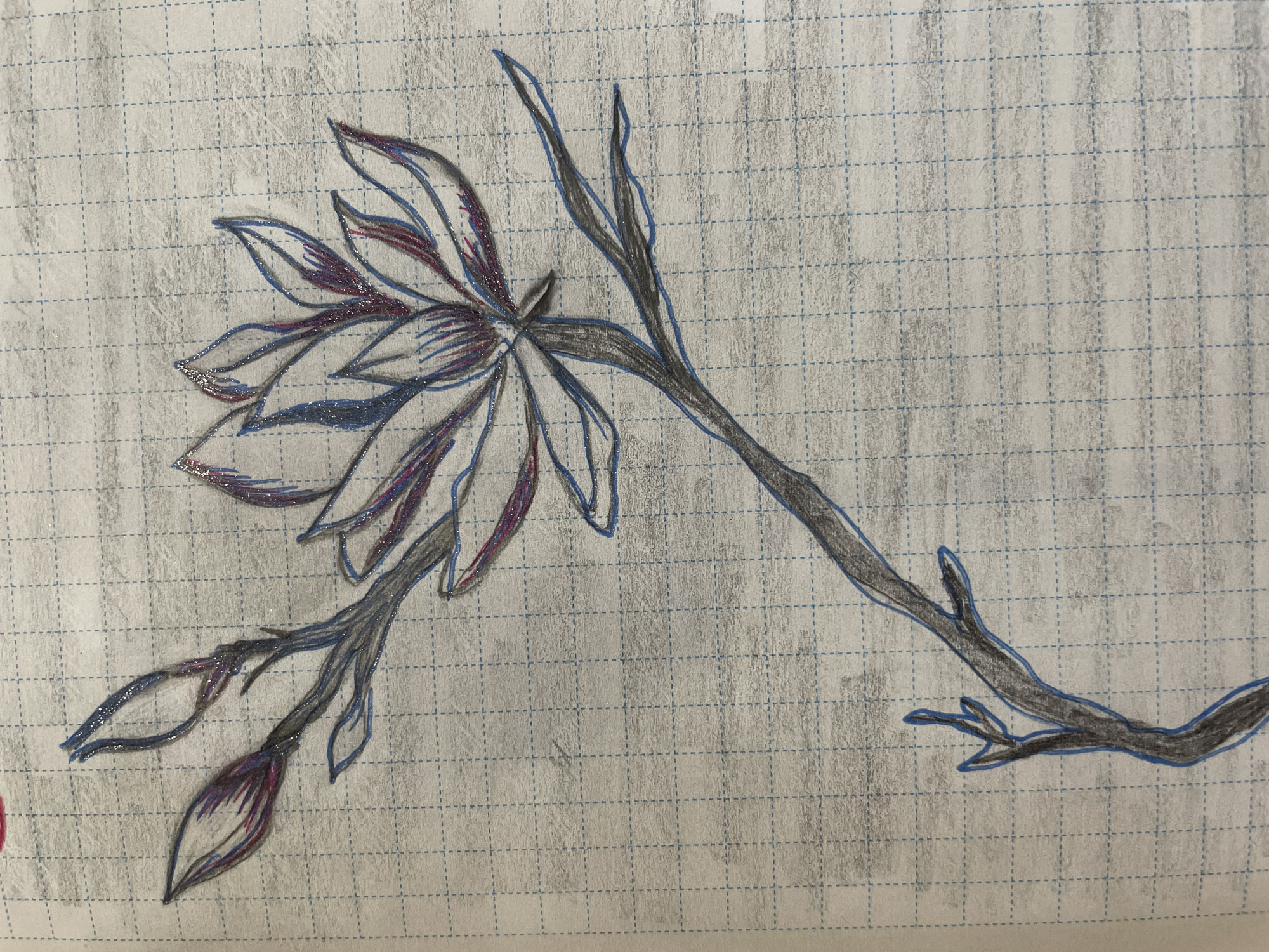 A drawing of a flower and branch on graph paper. The flower is a central blossom with long petals, some still closed as buds. The line art is outlined in blue and filled with gray, purple, and some glittery accents. The background is the graph paper, which has been lightly shaded in gray. The drawing appears to be on a notebook page. The location of Chaikovsky, Russia, is not visually evident in the image.