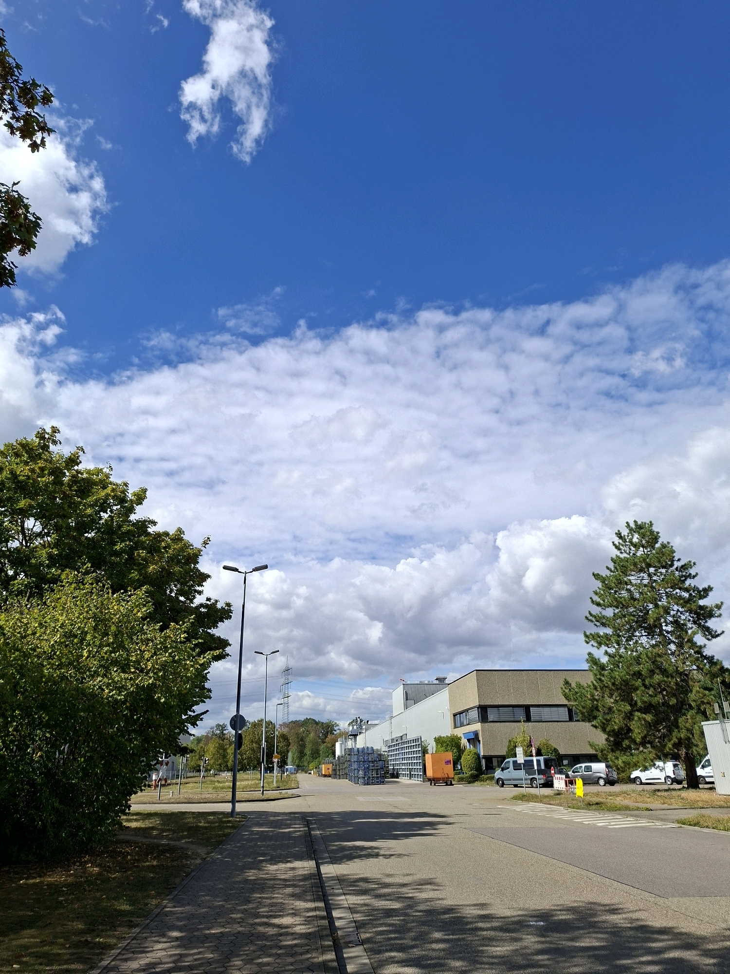 The image shows an industrial area with a road in the foreground, a sidewalk to the left, and buildings and trees in the background. The sky is blue with scattered white clouds. The road appears to be an asphalt surface, with a paved sidewalk on the left side. Several streetlights are visible along the sidewalk.
In the middle ground, there are several industrial buildings. One building is a light gray, modern-looking structure with dark windows. To the left of this building, there is a large structure with blue racks filled with items, possibly pipes or construction materials. An orange industrial cart is parked in front of this structure. Several vehicles are parked in front of the buildings, including a light blue minivan, a gray minivan, and two white vans. A tall pine tree is visible to the right of the industrial buildings.
In the background, more trees and what appear to be power lines and a transmission tower can be seen. The overall impression is a functional, commercial or industrial environment on a bright, partly cloudy day.
This scene is likely located in the industrial area of Rastatt, Germany, based on the context of the request, which implies a specific location within the city. Industrial zones in Rastatt typically feature such structures, roads, and infrastructure.