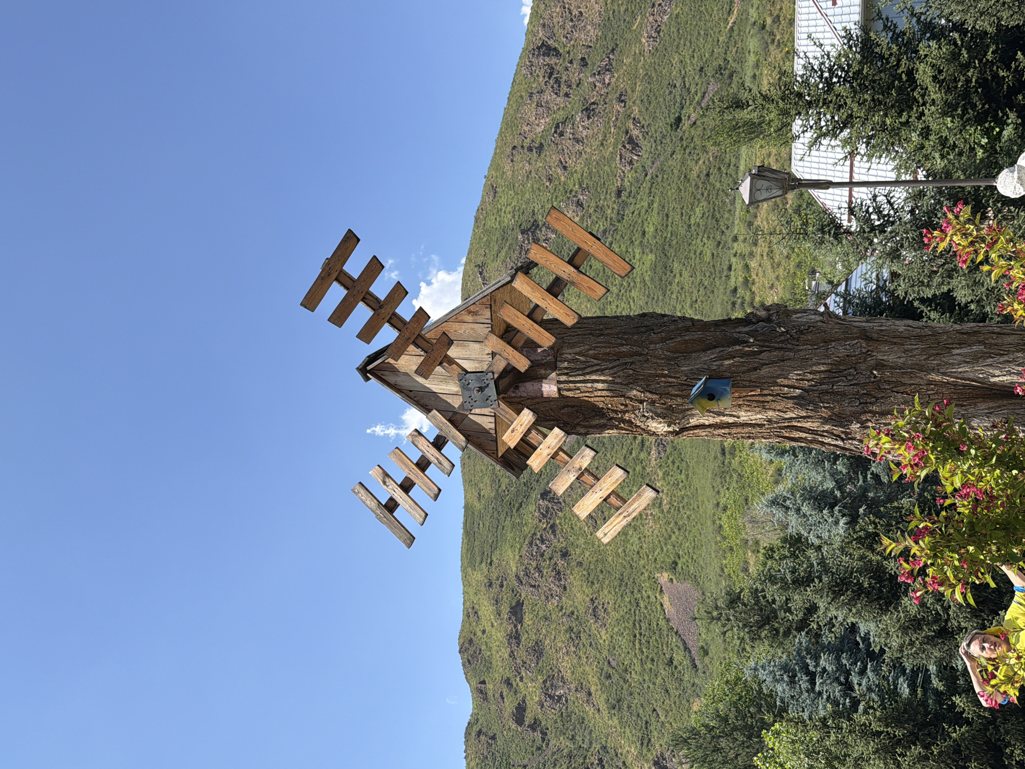 An outdoor, low-angle, full shot shows a wooden windmill mounted on a tree trunk in front of a green, rocky hillside under a bright blue sky. The windmill has four wooden blades, each composed of horizontal planks. A small, blue and yellow birdhouse is attached to the tree trunk below the windmill. In the foreground, a woman in a yellow jacket stands to the left, holding her hand to her head, amidst blooming pink flowers. Behind her are evergreen trees, a lamppost, and a white-roofed building. The scene appears to be in a natural or park-like setting.