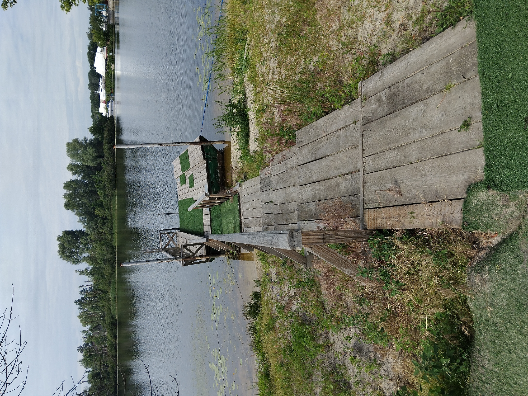 An outdoor, eye-level, vertical shot shows a wooden pier on the shore of a lake. The pier is made of aged wooden planks and is partially covered with artificial turf. The pier extends into the water, where a small, green boat is docked. The lake is calm, with some aquatic plants floating on its surface. In the background, a dense line of trees separates the lake from a cloudy sky. Across the lake, a marina with several white-sailed boats is visible. The shoreline is sandy and covered with dry grass and small green plants. The image appears to be taken on a slightly overcast day. The scene is a tranquil waterside location, likely a recreational area or marina, within the city of Kyiv, Ukraine.
