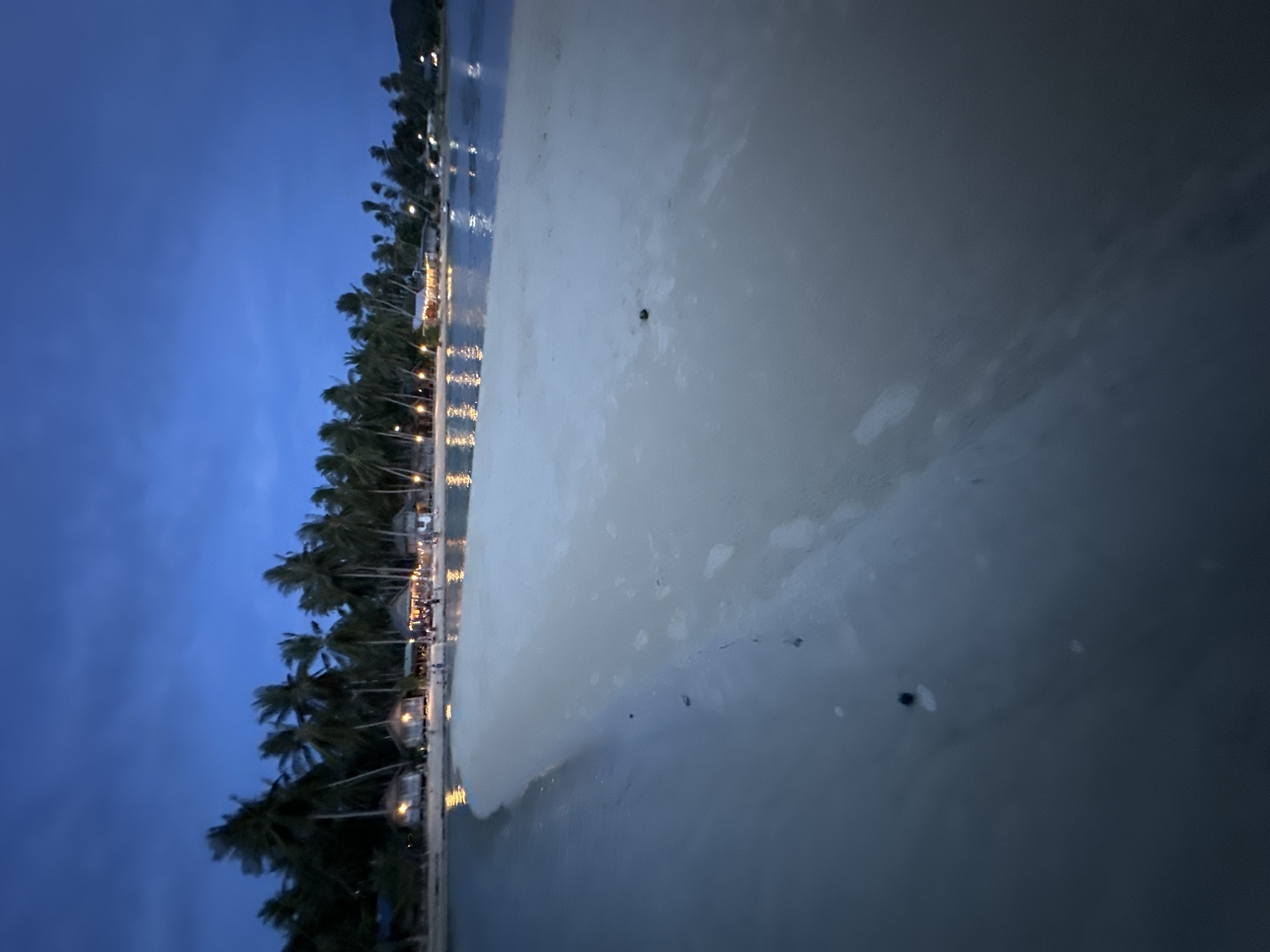 This is a vertical, wide-angle, low-light photograph taken at dusk or dawn on a beach. The foreground is dominated by the shallow, calm water reflecting the twilight sky. The water has a pale, almost milky appearance, with subtle ripples and a few dark spots, possibly small shells or debris.
The midground features a sandy beach lined with numerous palm trees. Their dark silhouettes are sharply defined against the brightening sky, and their fronds are lush and full. Small, lit structures, possibly bungalows or huts, are nestled amongst the trees, casting a warm, yellow glow. These structures suggest a resort or a small village along the coastline.
The background shows a dense line of palm trees stretching along the shore, with hints of more distant structures and lights. The sky is a deep, clear blue, transitioning to a lighter hue near the horizon. The overall scene evokes a sense of tranquility and tropical beauty, as the day transitions into night or vice versa. The location context of Ko Pha-ngan District, Thailand, aligns with the visual cues of a tropical beach with palm trees and bungalows. There is no visible text in the image. The lack of people suggests a quiet, serene atmosphere.