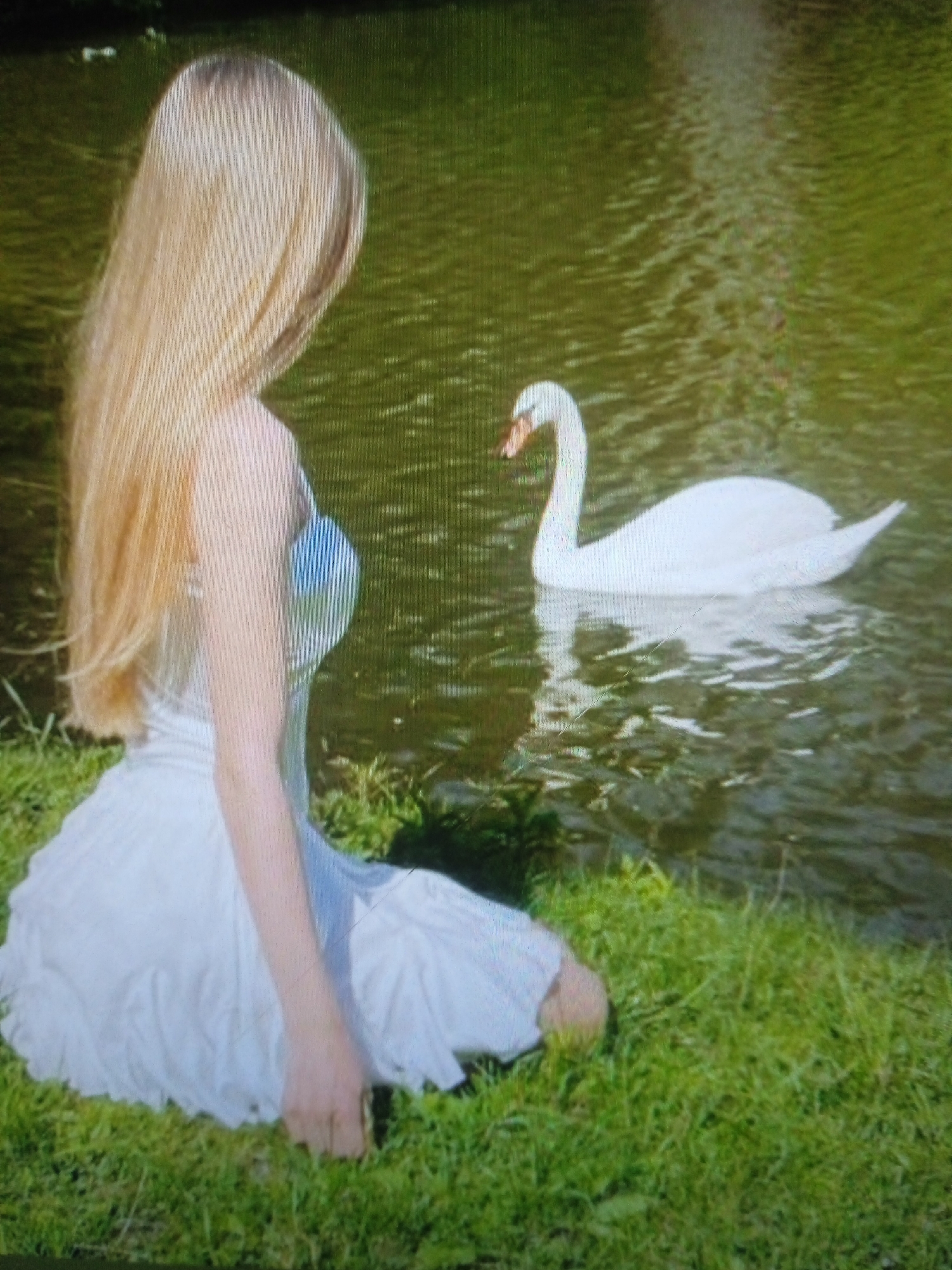 A young woman with long blonde hair, wearing a white dress, sits on the grass next to a body of water. A white swan swims in the water near her. The scene appears to be a park or natural area. The location is not identifiable as Chernivtsi, Ukraine, or any specific city.