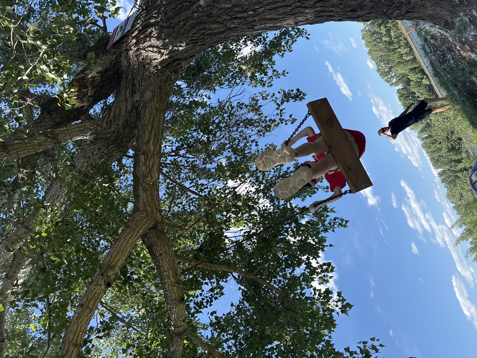 The image depicts an outdoor scene captured from a low-angle perspective, looking upwards through the canopy of a large, mature tree. A young individual is suspended mid-air on a wooden plank swing, actively swinging upwards and backwards, wearing a red top, light-colored shorts, and athletic shoes. Their hands grip the swing's metal chains. Below and to the right of the swinging individual, an adult male stands on a grassy bank, wearing a black t-shirt and black shorts. He looks upwards towards the swing, with his right hand raised towards his face, possibly shielding his eyes from the sun.
The tree, a broadleaf species, features a thick trunk with textured, grey-brown bark and dense green foliage, through which patches of clear blue sky with scattered white cumulus clouds are visible. A red and white sign, indistinct in detail, is affixed to the main tree trunk on the right side of the frame. White, fibrous debris is scattered on the ground beneath the tree. In the background, a wide, calm body of water stretches horizontally, bordered by a dense line of green deciduous trees on the distant bank. The bright sunlight suggests midday or early afternoon. The riparian landscape, featuring a significant river flanked by forest, is consistent with the geography of Chaikovsky, Russia, which is located on the Kama River.