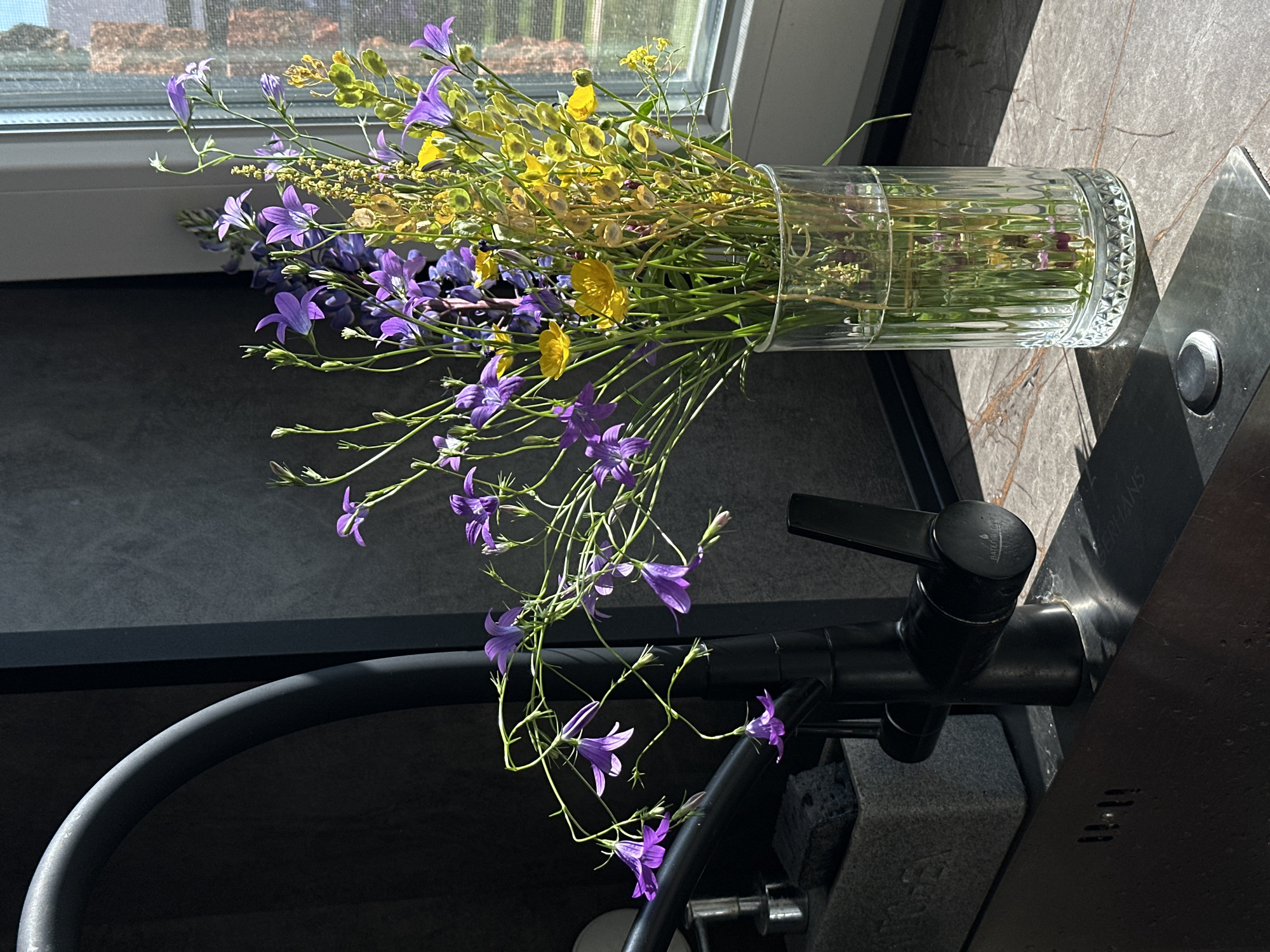 In a kitchen setting, a clear glass vase filled with a bouquet of wildflowers, predominantly purple bellflowers and yellow buttercups, is placed on a countertop next to a window. The sunlight streams in, casting shadows and highlighting the delicate petals of the flowers. To the left of the vase, a black kitchen faucet with a single handle is visible, mounted on a dark countertop. A gray sponge holder is positioned behind the faucet. The background features a dark, textured wall and the indistinct view of buildings through the window. The image appears to be taken indoors, likely in a domestic environment, with no people present. The specific location of Chaikovsky, Russia, cannot be determined from the visual information provided in the image.
