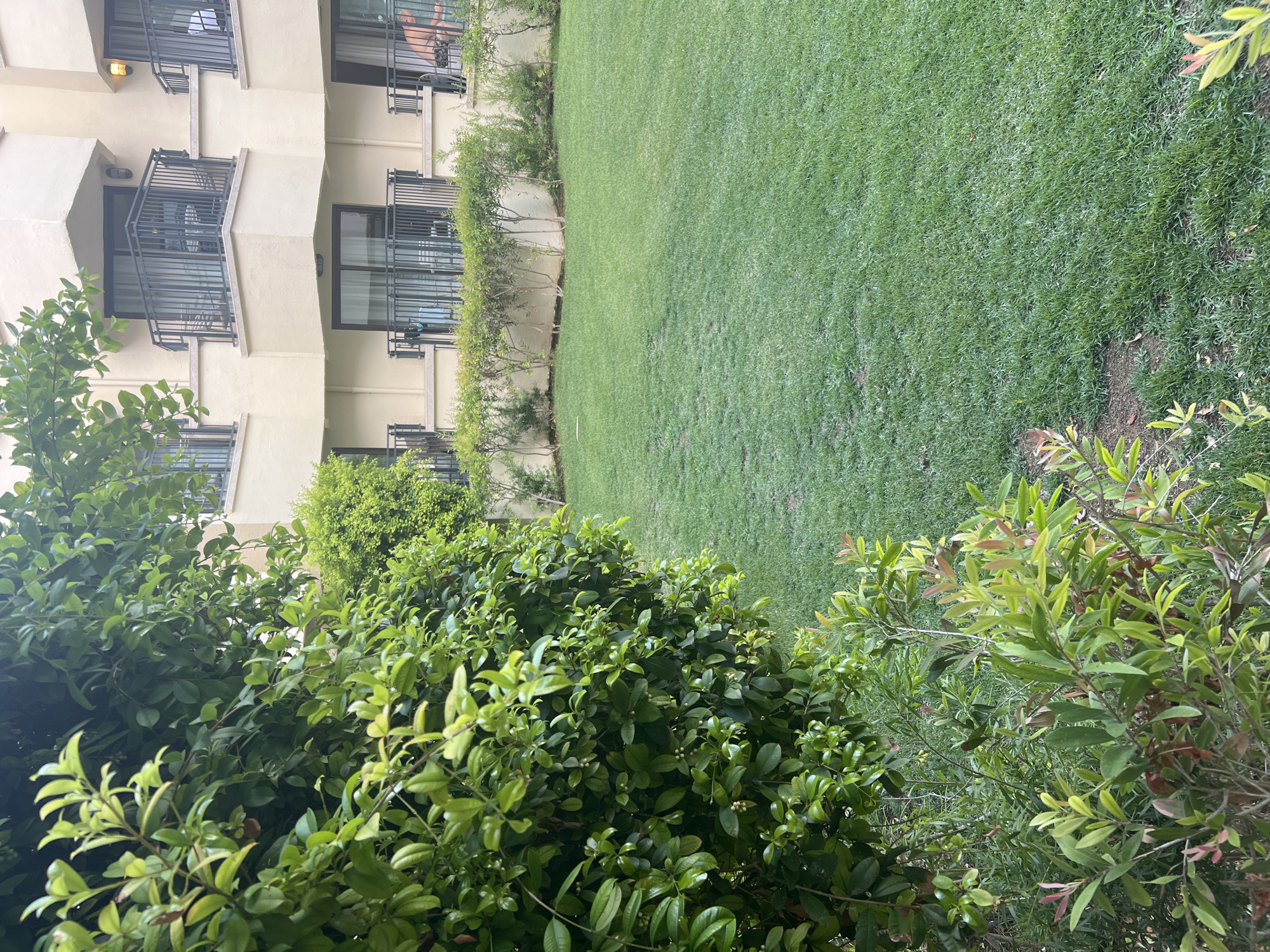 The image depicts a green lawn in front of a tan-colored, multi-story building. The building features balconies with dark railings, and windows with sliding glass doors. The lawn is bordered by a hedge and some bushes with green and reddish leaves in the foreground. The setting appears to be an outdoor area, possibly a courtyard or garden, in a residential or hotel complex. The location is identified as Serik, Turkey. No people are clearly visible in the frame.