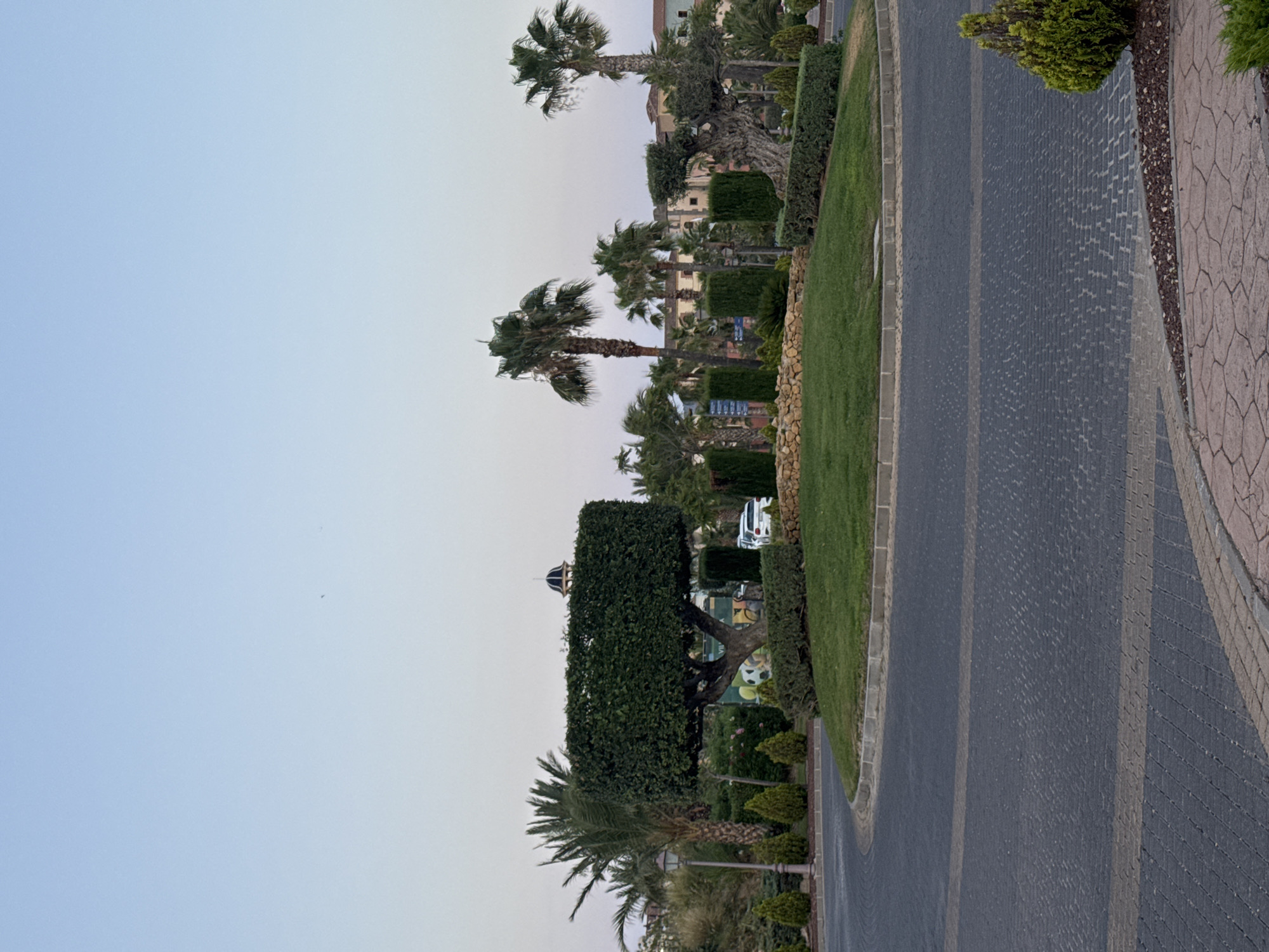This media file depicts an outdoor scene, likely a resort or residential area, in Benidorm, Spain. The image is oriented vertically, showing a paved pathway lined with neatly trimmed hedges and green grass on the left. Palm trees are a prominent feature, with several tall specimens visible, their fronds swaying gently. In the background, buildings with light-colored facades and tiled roofs can be seen, suggesting a Mediterranean architectural style. A distinctive blue-domed structure is partially visible behind a large, dense hedge. A white vehicle is parked amongst the foliage. The pathway itself is paved with dark, interlocking stones, bordered by a lighter stone edge and then a decorative patterned walkway. The time of day appears to be late afternoon or early evening, as indicated by the soft, diffused light and the light blue sky, which transitions to a pale yellow or pink hue near the horizon, suggesting a sunset. The overall impression is one of a tranquil, well-maintained environment. There is no discernible activity or specific event taking place. No visible text is present in the image.