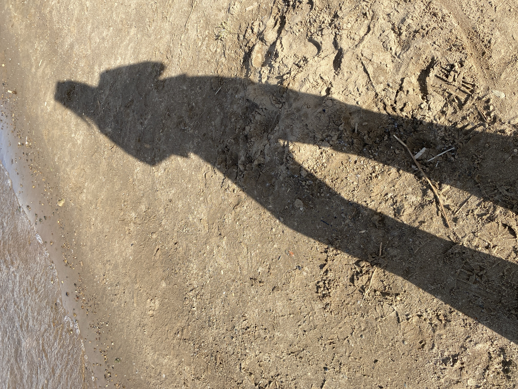 The image shows a shadow of a person on the sandy ground next to a body of water. The shadow is cast diagonally from the left side of the frame towards the right, revealing the outline of a person, likely standing. The ground is textured with sand, small pebbles, and some debris such as twigs. There are also faint impressions of footprints in the sand. The water on the left edge of the frame appears to be shallow, with small waves lapping against the shore.
The lighting suggests that it is either early morning or late afternoon, as the sun is low in the sky, casting a long shadow. The weather appears to be clear and sunny. The setting seems to be a natural environment, possibly a beach or a riverbank. There is no visible text in the image. The overall mood is neutral and observational, focusing on the interplay of light, shadow, and the natural elements of the scene. The shadow's form suggests a person wearing clothing, possibly with a backpack or similar item, though details are obscured.
