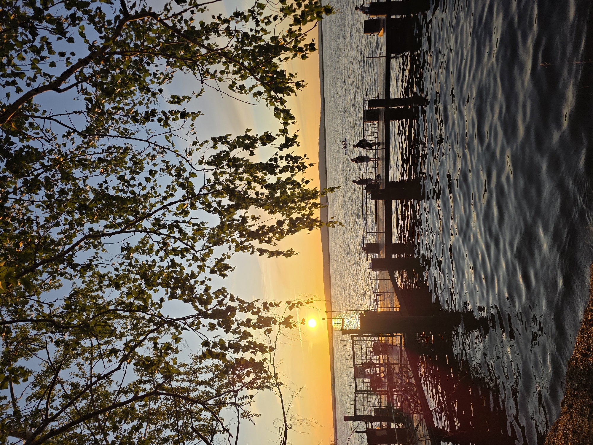 This is a vertical, eye-level, medium shot of a pier on a body of water during sunset. The sky is a gradient of blue and orange. In the foreground, tree branches with green leaves hang down and frame the scene. The water is dark and wavy, reflecting the light from the sky and the pier.
On the pier, there are several people and objects. A metal fence runs along the edge of the pier. To the left, there is a gate with bicycles parked behind it. Further down the pier, several individuals are standing, appearing to be socializing or watching the sunset. In the distance, on the water, two people are in a kayak.
The sun is setting on the horizon, casting a bright orange glow across the sky and the water. The pier is made of wood and concrete, with several pilings supporting it. The overall atmosphere is peaceful and serene, with a hint of activity from the people on the pier and the kayakers in the water. The scene is likely located at the Kama River embankment in Chaikovsky, Russia, a popular spot for recreation and enjoying sunsets.