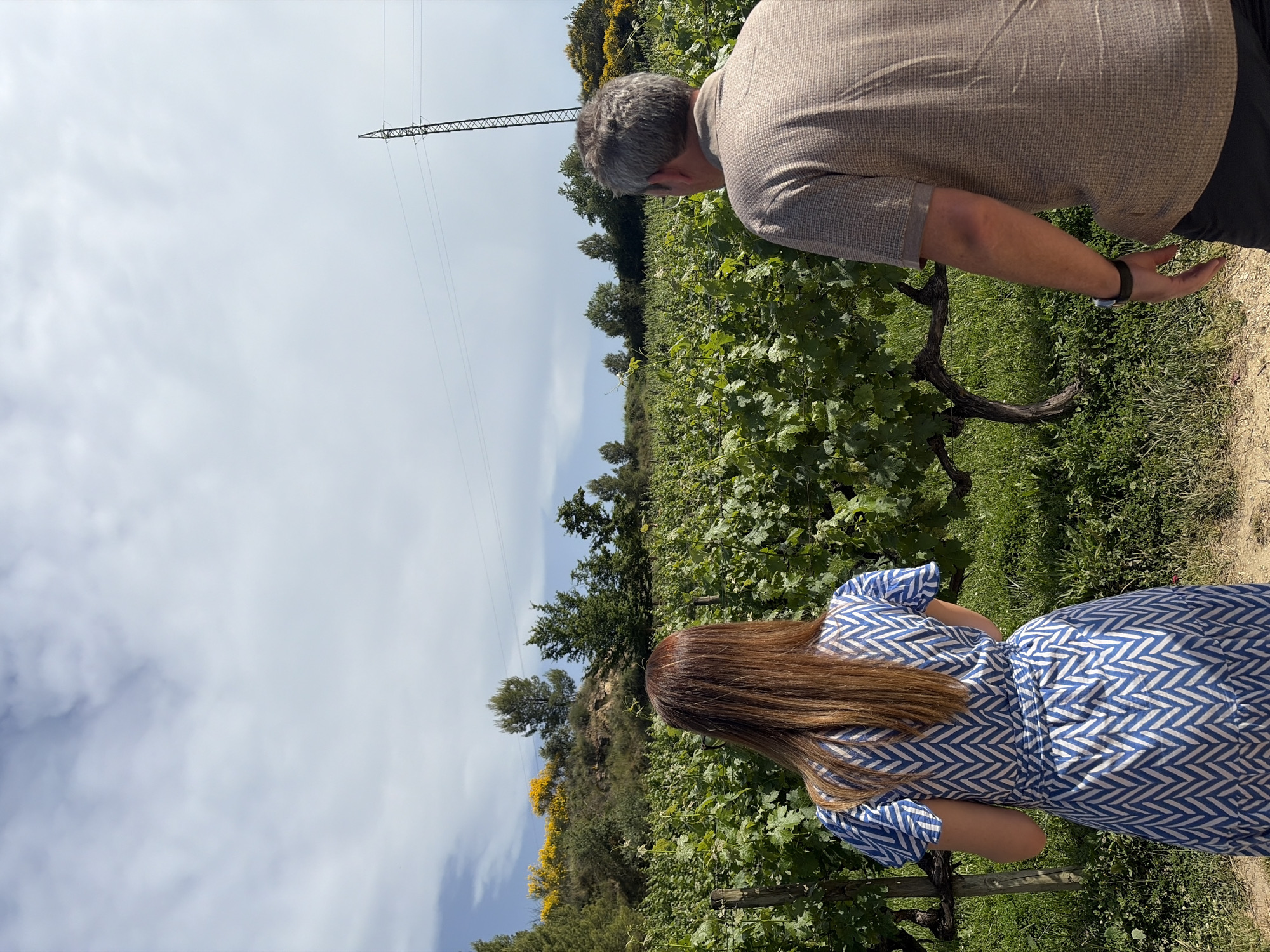 A medium shot shows two people standing in a vineyard in Elciego, Spain. An adult woman with long brown hair wears a blue and white patterned dress. Next to her, an older man in a brown shirt is looking at the vines. The vineyard is lush and green, with rows of grapevines stretching into the distance. An electrical transmission tower rises in the background. The sky is partly cloudy, and the surrounding landscape includes trees and shrubs.