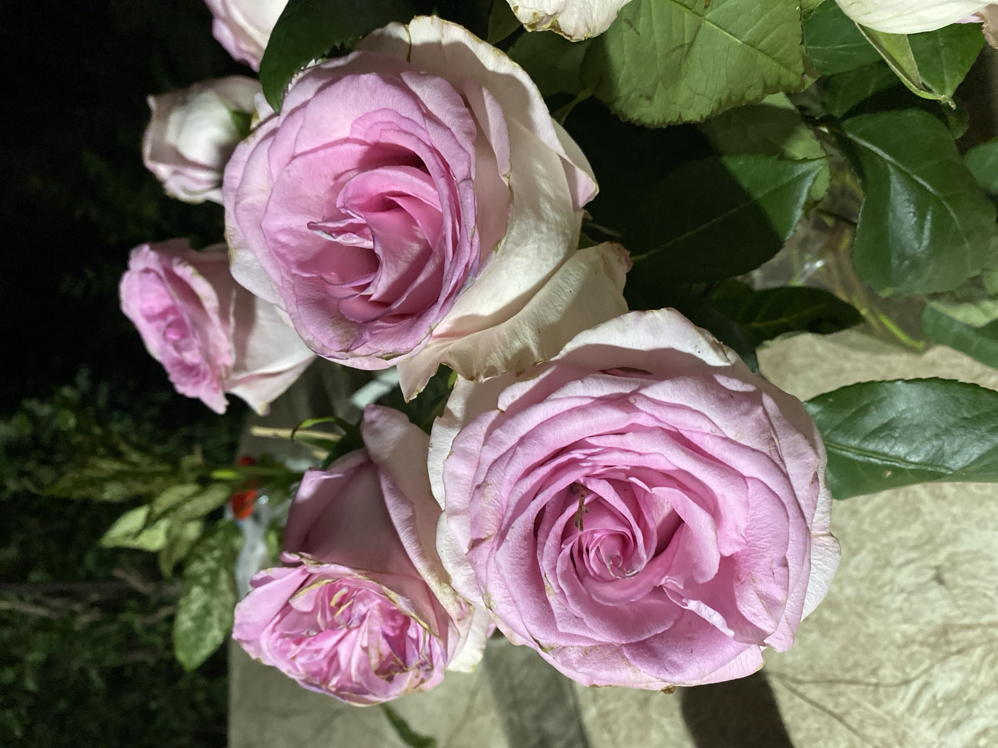 A close-up, slightly elevated, natural light, medium shot shows a bouquet of several pink roses and green leaves. The roses are the primary focus, with their soft petals and intricate swirls clearly visible. The lighting casts subtle shadows and highlights on the petals, emphasizing their texture. In the blurred background, dark foliage suggests an outdoor setting, possibly a garden. The arrangement is placed on a textured surface, possibly a table.