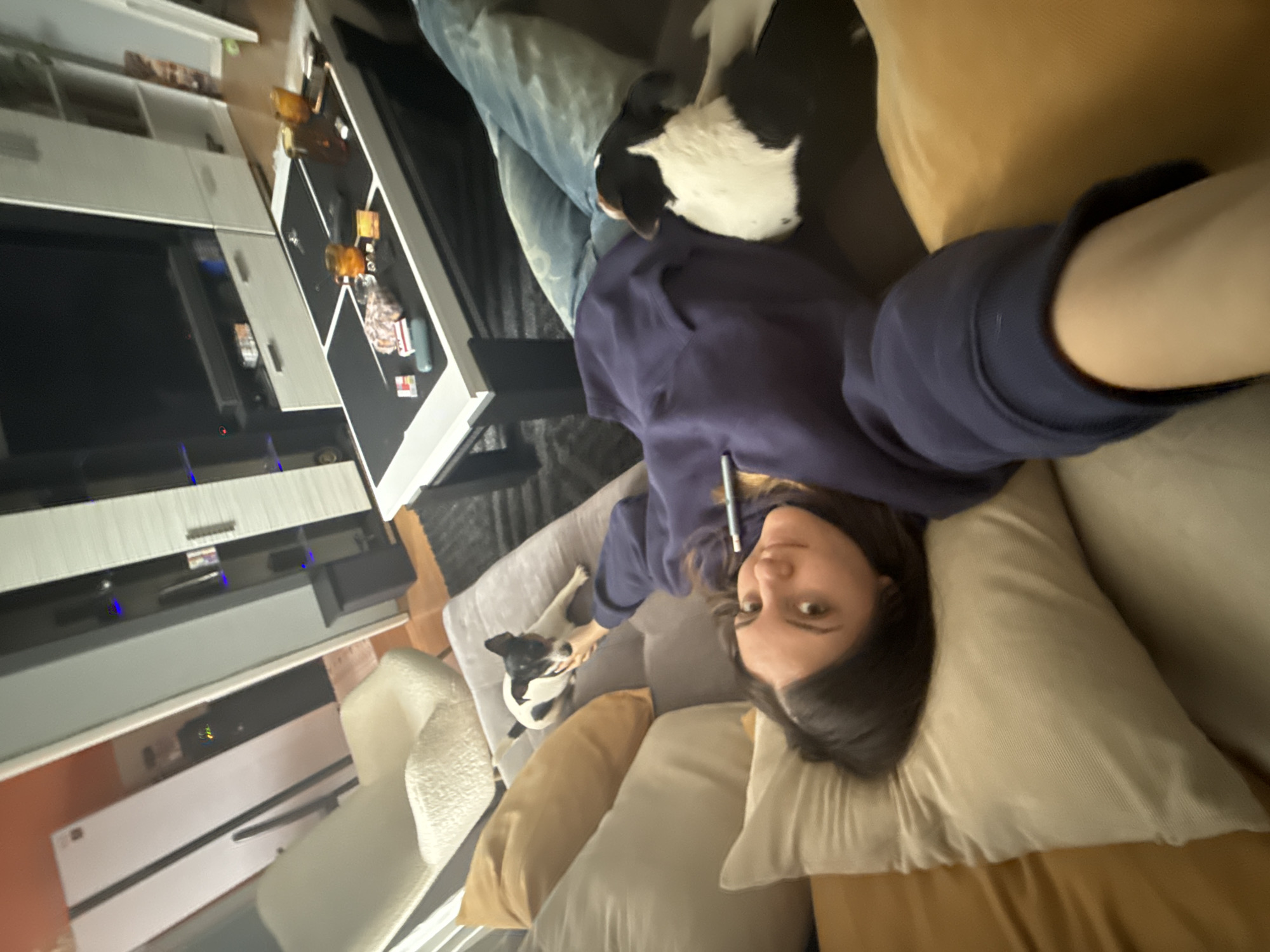 A woman lies on a couch with pillows and a black and white dog. She wears a blue sweatshirt. The couch is next to a modern entertainment center. On the coffee table are several objects including what appears to be glasses of liquid. The location appears to be indoors and based on information given, located in the city of Sofia, Bulgaria.