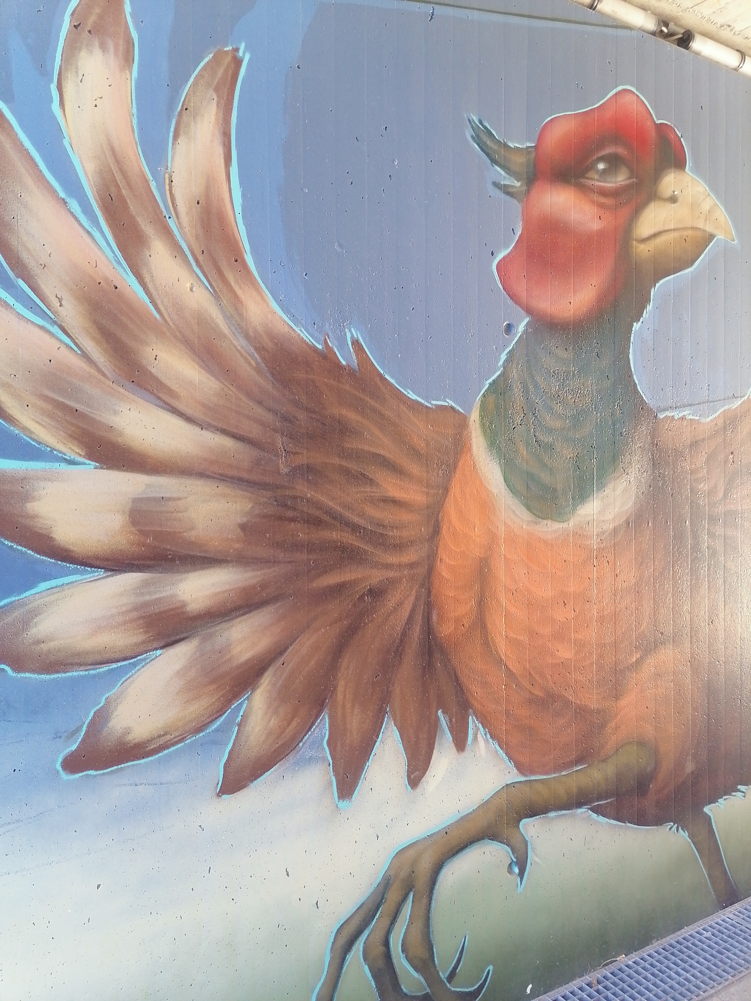 The image shows a graffiti mural on a concrete wall in Unterhaching, Germany. The mural depicts a large, stylized pheasant in profile, with its wing extended. The bird has a red head, a yellow beak, and a green and white neck. Its body is a vibrant orange, and its wings are a mix of brown and tan feathers. The background is a gradient of light blue to white, suggesting a sky. The mural is painted on a textured, vertical concrete surface. A metal grate is visible at the bottom of the image.
