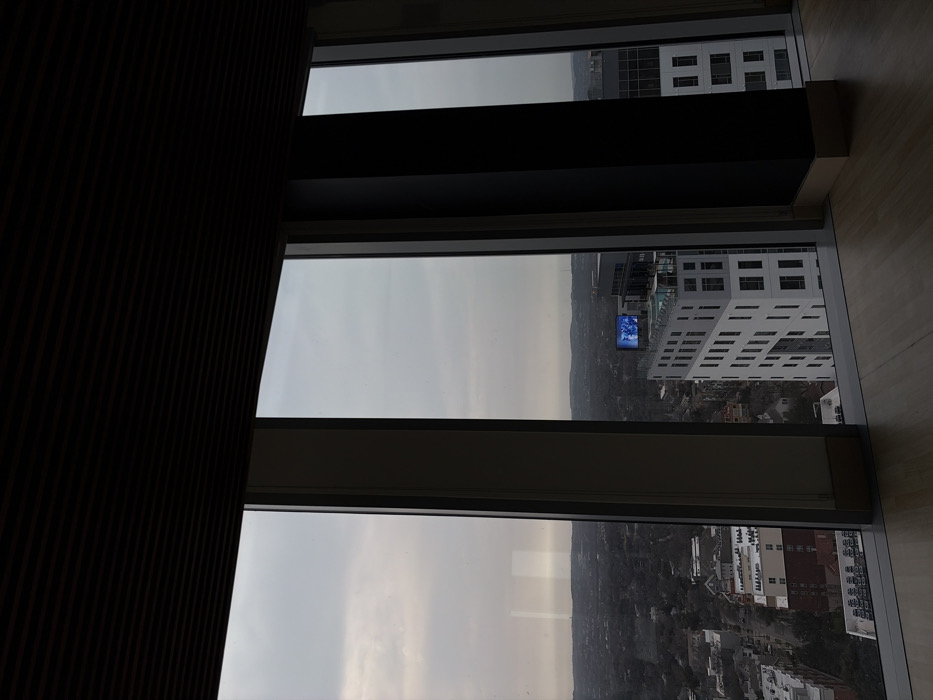Through a multi-paneled window, an aerial view unfolds. Buildings, dense foliage, and cityscapes stretch to the horizon under a hazy, overcast sky. A high-rise with a digital screen is visible. Adjacent to the window, dark vertical slats cast a shadowy contrast. The window frame and an adjacent beige surface define the interior space.