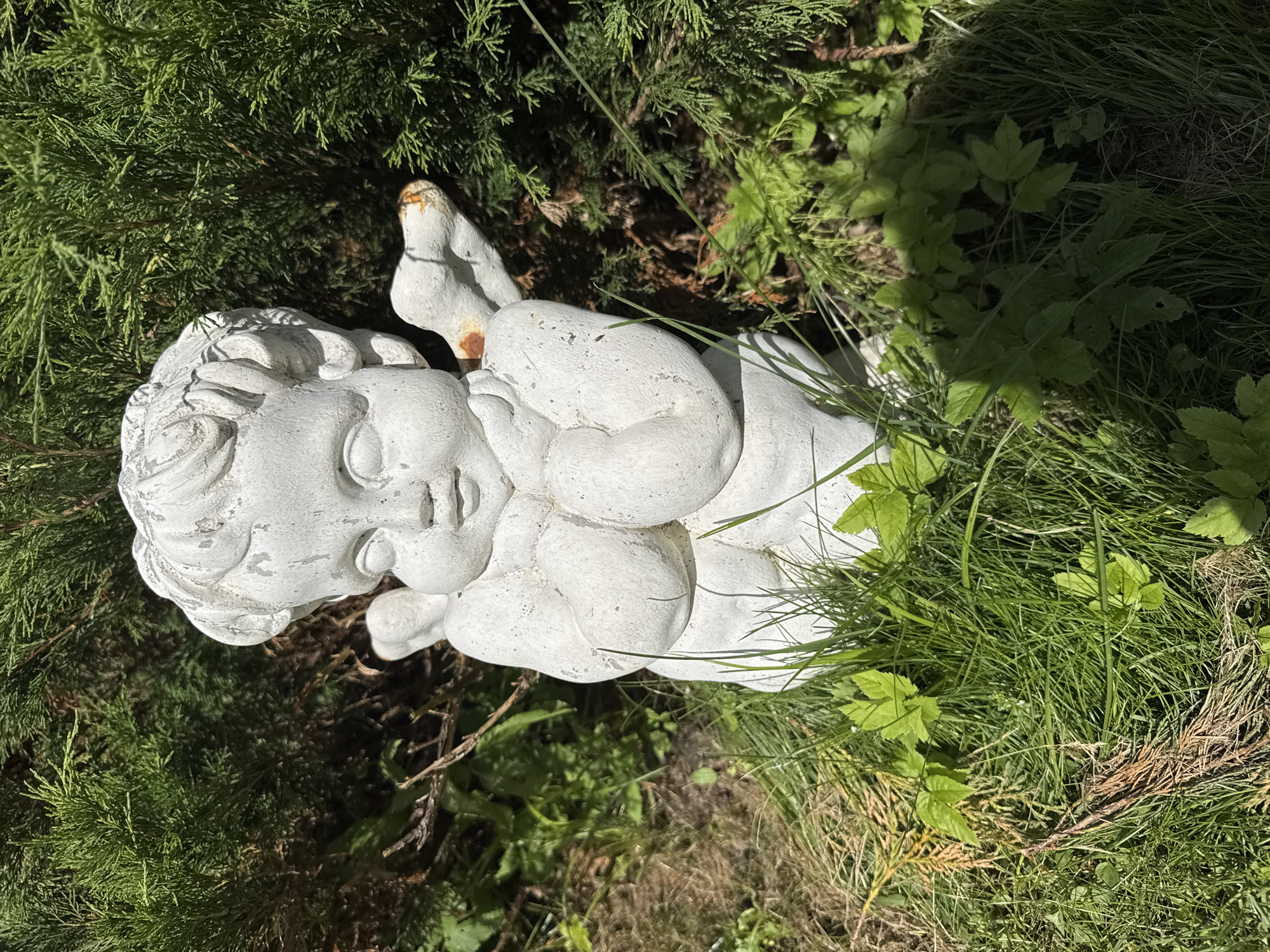 An outdoor, eye-level shot showcases a weathered, white cherub statue situated amidst lush green foliage and tall grass in a garden setting. The statue, appearing to be made of stone or concrete, depicts a chubby baby with closed eyes and hands clasped at its chest. Its wings are small and rounded. The statue is partially obscured by green leaves and tall blades of grass in the foreground and surrounded by dense green shrubbery in the background. Sunlight casts shadows on the grass, highlighting the texture of the vegetation. The scene is likely located in a residential garden or park area, given the presence of the statue and the natural landscaping. This scene could be located anywhere in Yesipovo, Russia, as the image does not provide specific geographical identifiers.