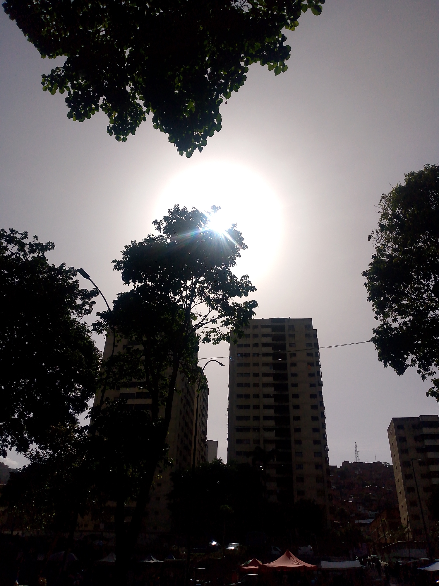The image shows a view in Caracas, Venezuela, with tall buildings partially obscured by trees. The sun is high in the sky, creating a bright glare. In the foreground, there appear to be market stalls with tents. The buildings are older, with multiple stories and visible windows. A hillside with buildings on it is visible in the background. Trees frame the buildings and sky.