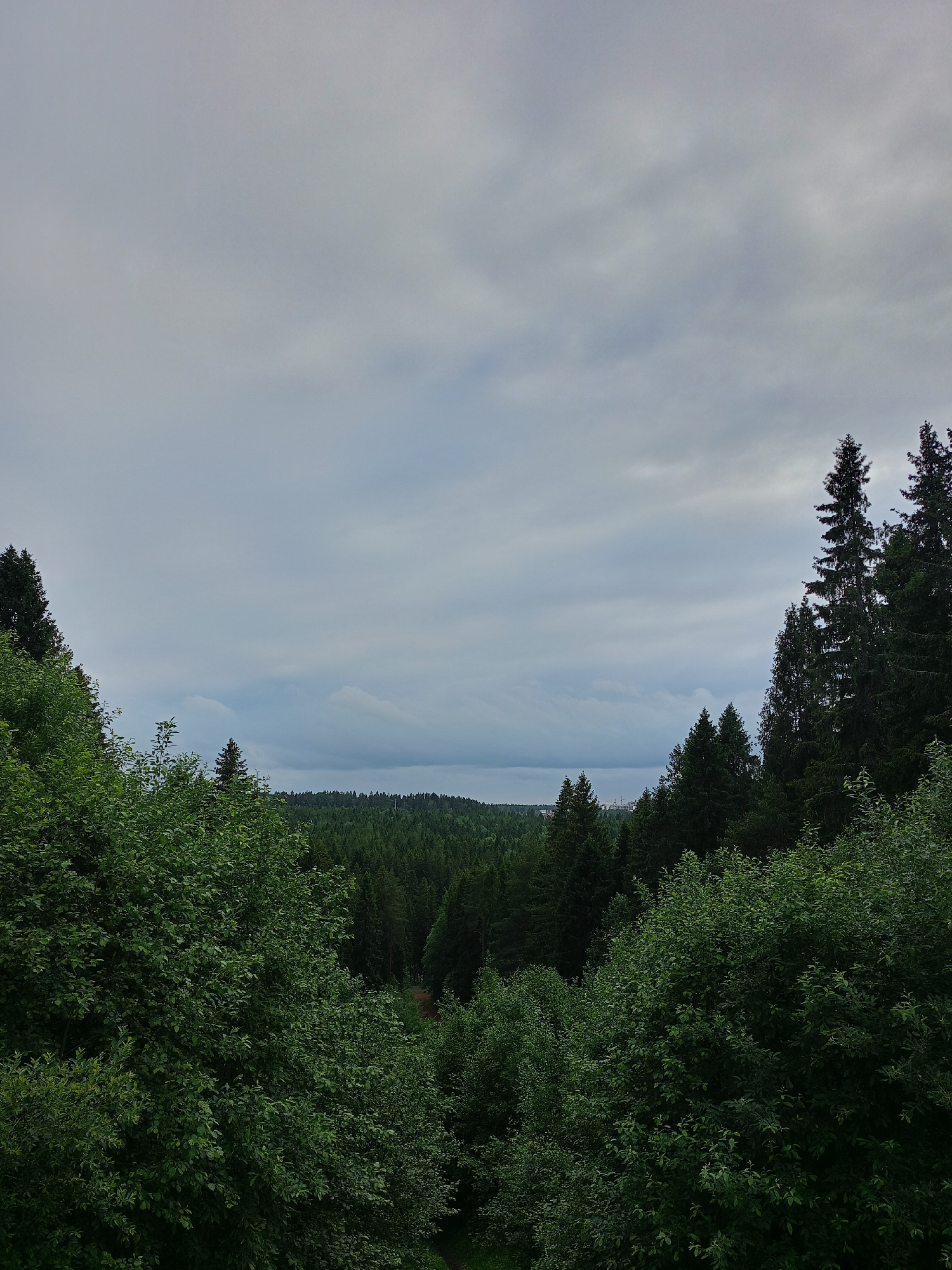 The image is a medium-shot, eye-level, outdoor photograph taken on a cloudy day, looking out over a dense forest from a slightly elevated position. The foreground is dominated by lush green trees and foliage, with branches and leaves extending into the frame from the bottom and left sides. A winding dirt path is visible disappearing into the trees in the middle ground. Further in the distance, a vast expanse of evergreen forest stretches across rolling hills, with the tops of some taller trees visible. In the far distance, a faint, hazy view of a body of water or a distant skyline with some structures is present beneath the overcast sky. The sky is filled with thick, grey clouds, with some lighter patches suggesting diffused sunlight. The overall scene depicts a natural, wooded environment. There are no people or animals visible in the image.