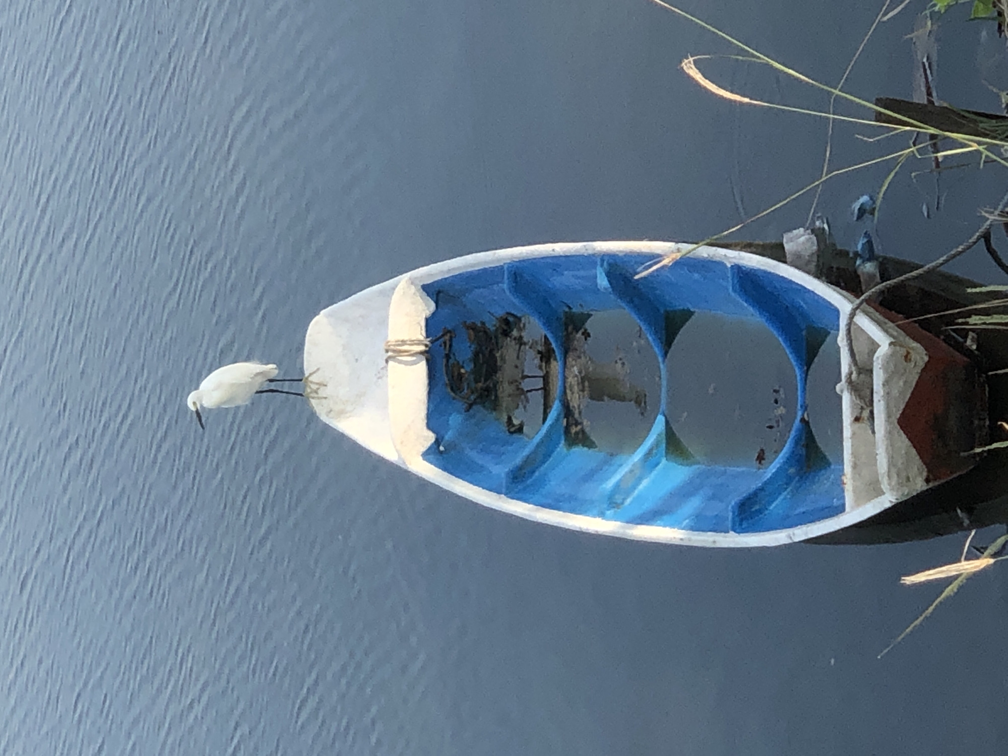 An overhead shot shows a white and blue boat floating on the water. A white bird with black legs stands on the bow of the boat. The boat is partially submerged and appears to be in a state of disrepair. The water is calm and reflects the sky. The scene is likely in the waters off the coast of Lhokseumawe, Indonesia.